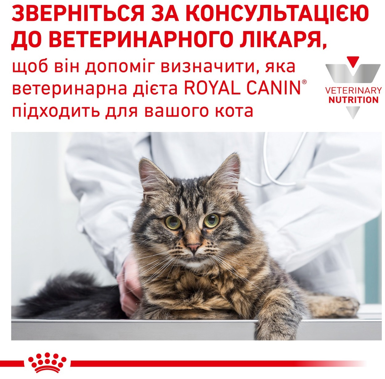 Сухий корм для котів Royal Canin Calm для зниження рівня стресу 2кгфото5