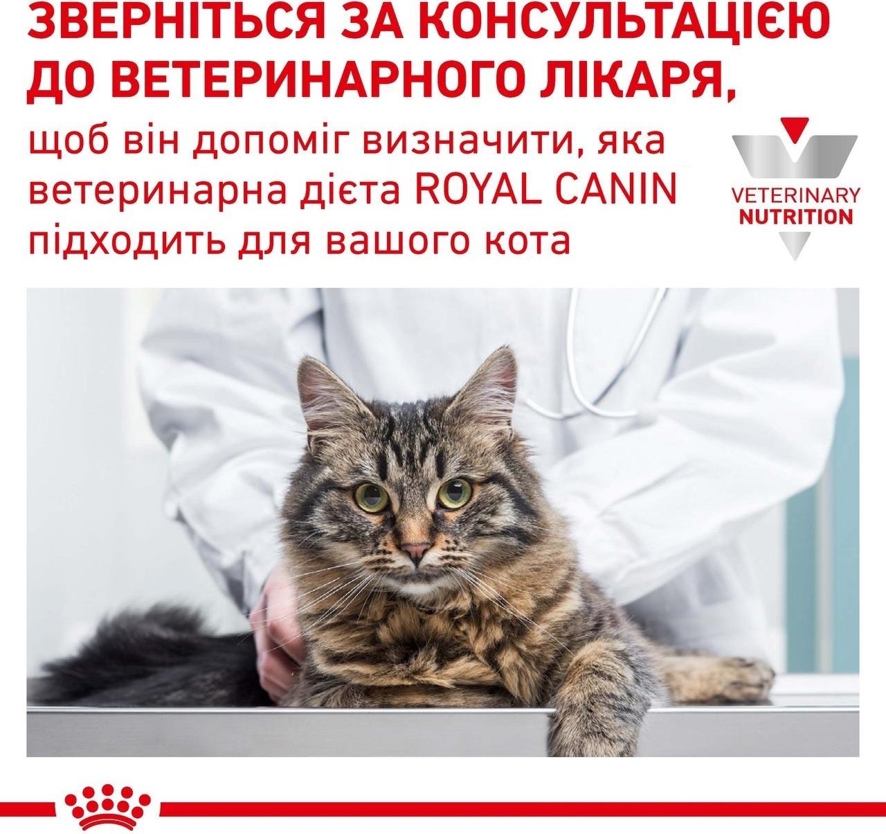 Влажный корм для котов Royal Canin Urinary S/O при заболеваниях нижних мочевыводящих путей 85г фото 6