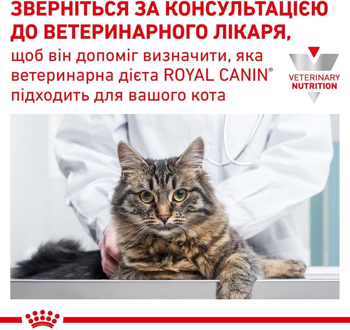 Вологий корм для котів Royal Canin Skin&Coat при дерматозах та надмірному випаданні вовни 85гфото7