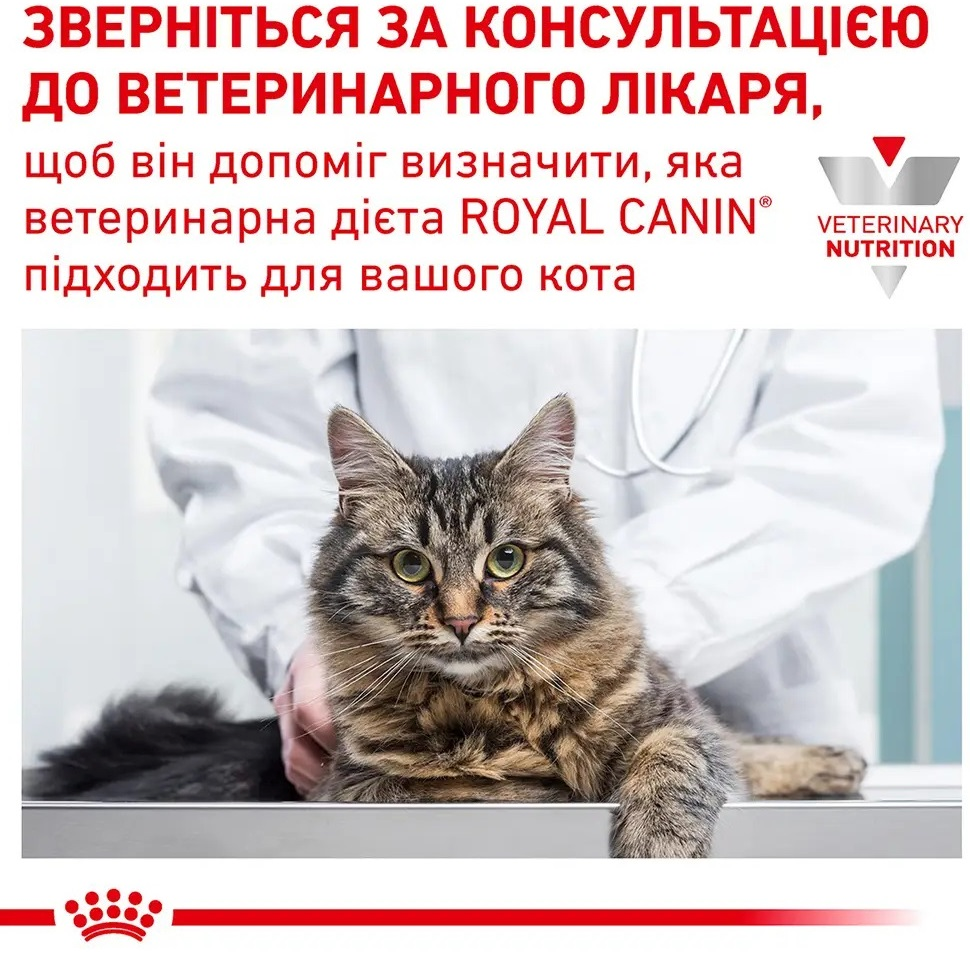 Вологий корм для котів Royal Canin Gastrointestinal Kitten при розладах травлення 85гфото7