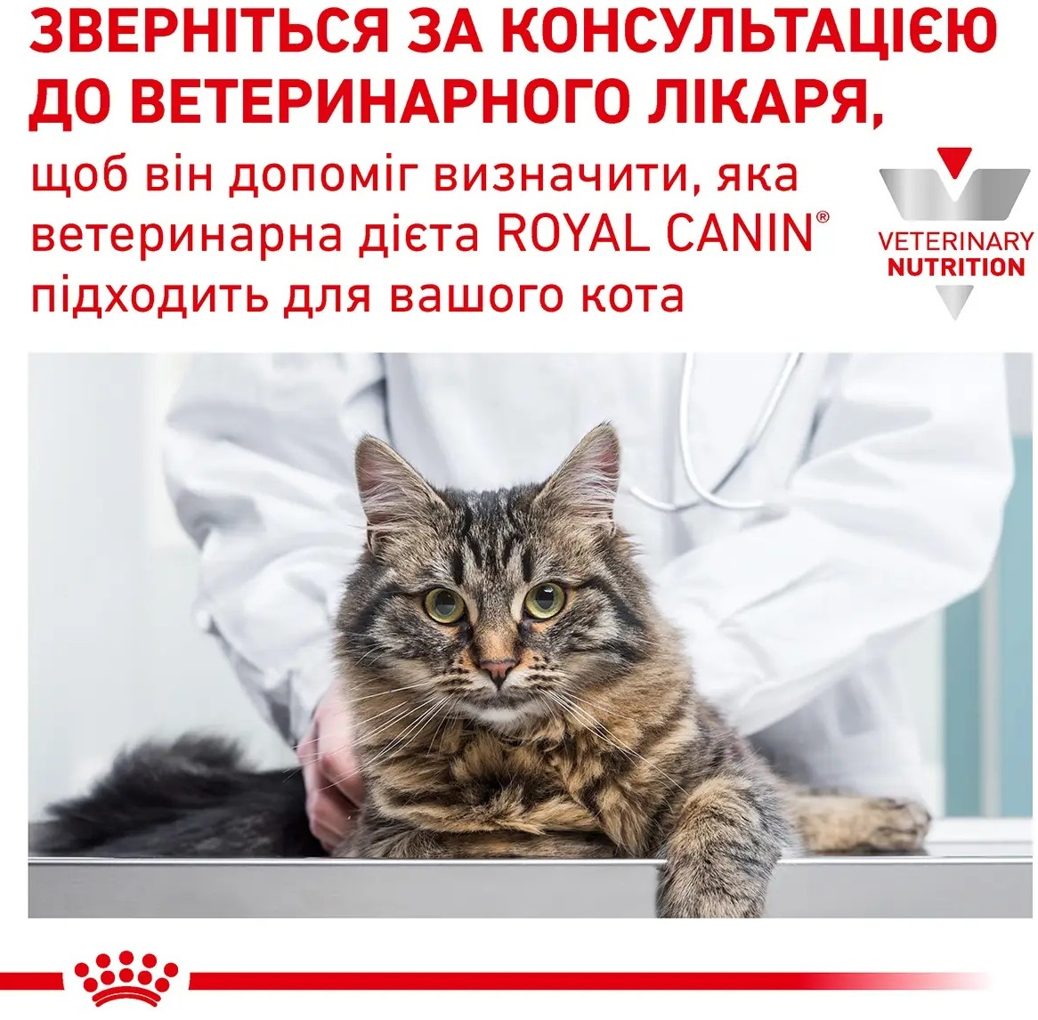 Влажный корм для котов Royal Canin Neutered Maintenance 85г фото 3