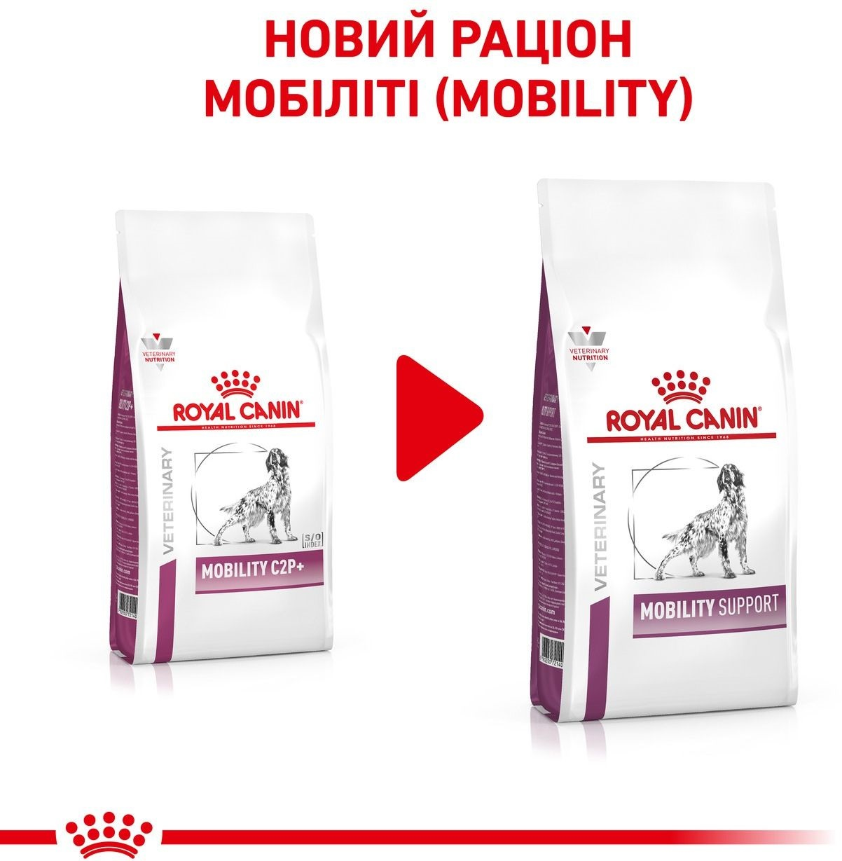 Сухой корм для собак Royal Canin Mobility Support при заболеваниях опорно-двигательного аппарата 2кг фото 8