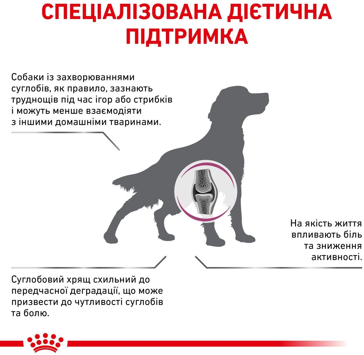 Сухий корм для собак Royal Canin Mobility Support при захворюваннях опорно-рухового апарату 2кгфото2