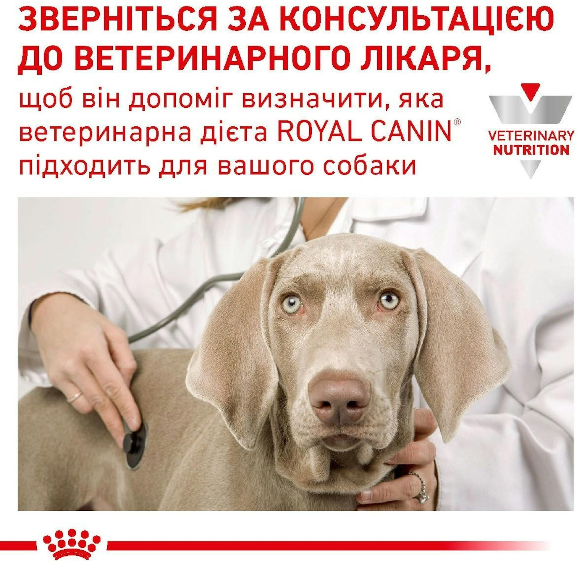 Сухий корм для собак Royal Canin Renal при захворюваннях нирок 2кгфото3