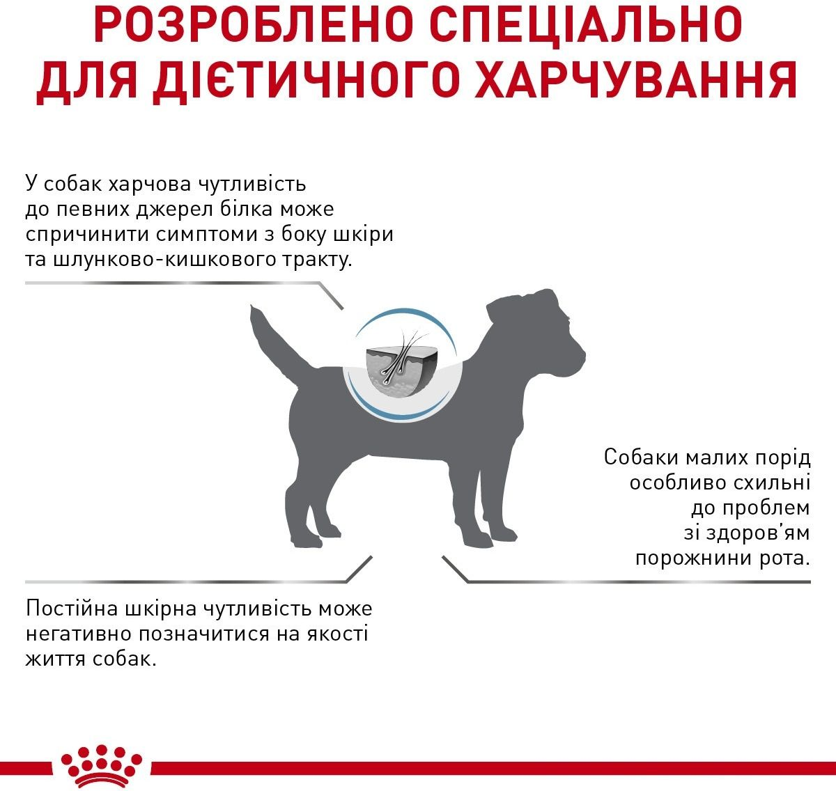 Сухий корм для собак Royal Canin Anallergic Small Dogs дрібних порід для зниження інгредієнтної нестерпності 1.5кгфото2