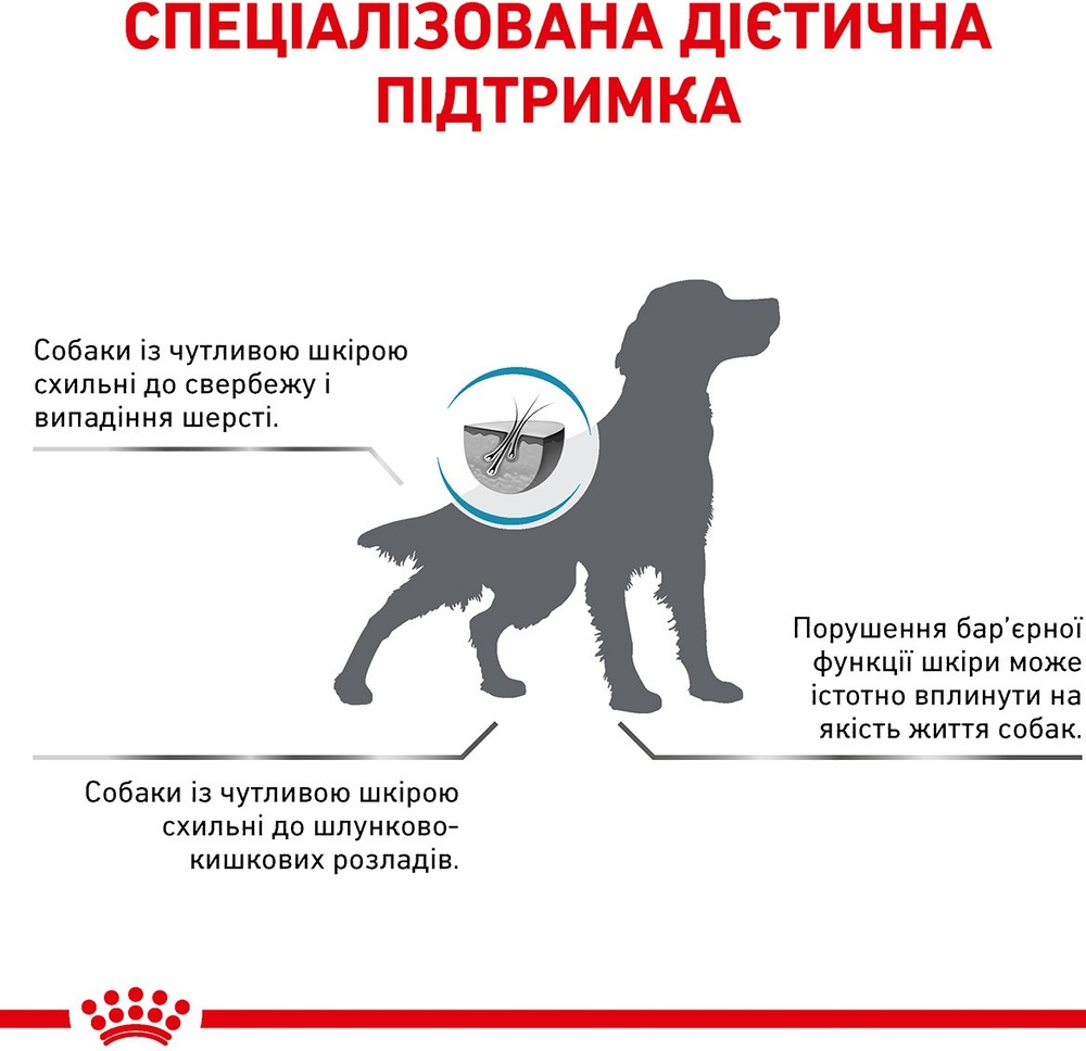 Сухой корм для собак Royal Canin Skin Care при дерматозах и выпадении шерсти 11кг фото 8