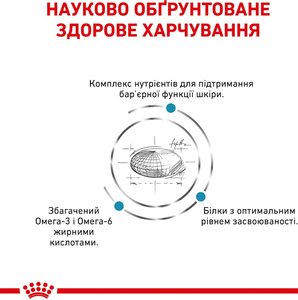 Сухой корм для собак Royal Canin Skin Care при дерматозах и выпадении шерсти 11кг фото 3