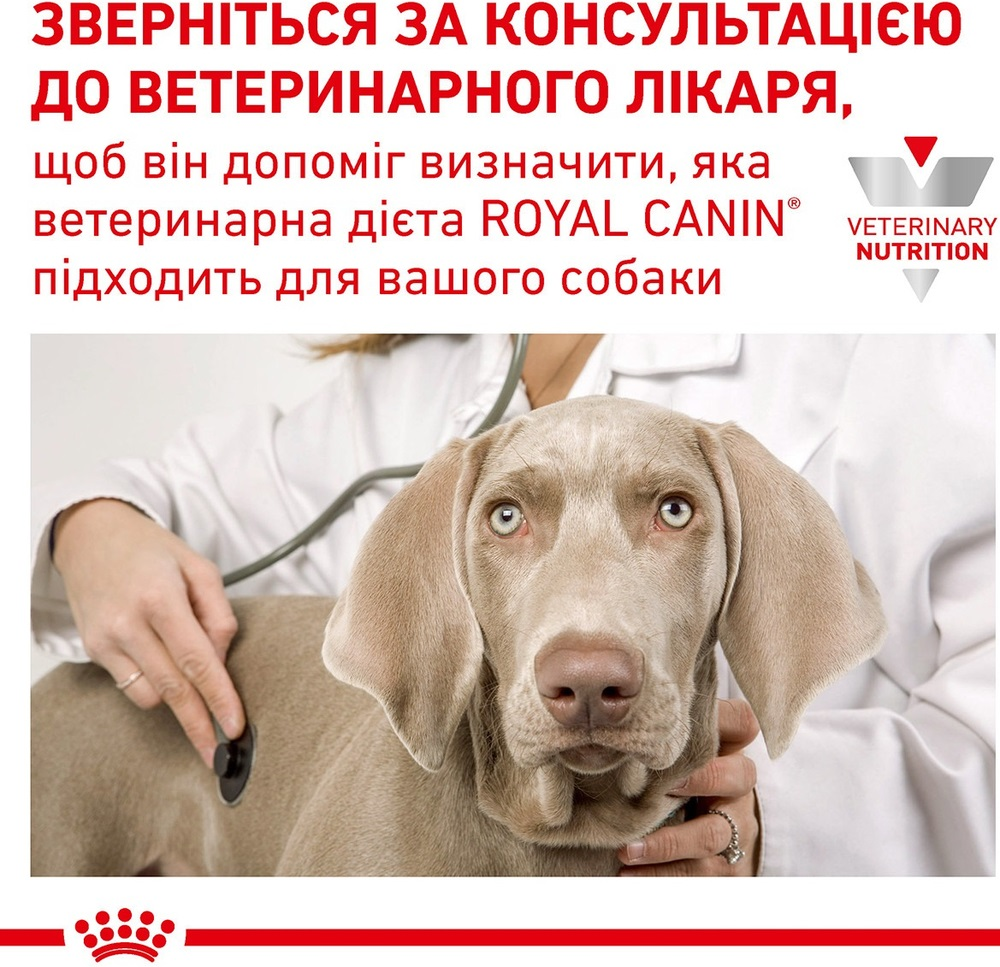 Сухий корм для собак Royal Canin Skin Care при дерматозах та випаданні вовни 11кгфото7