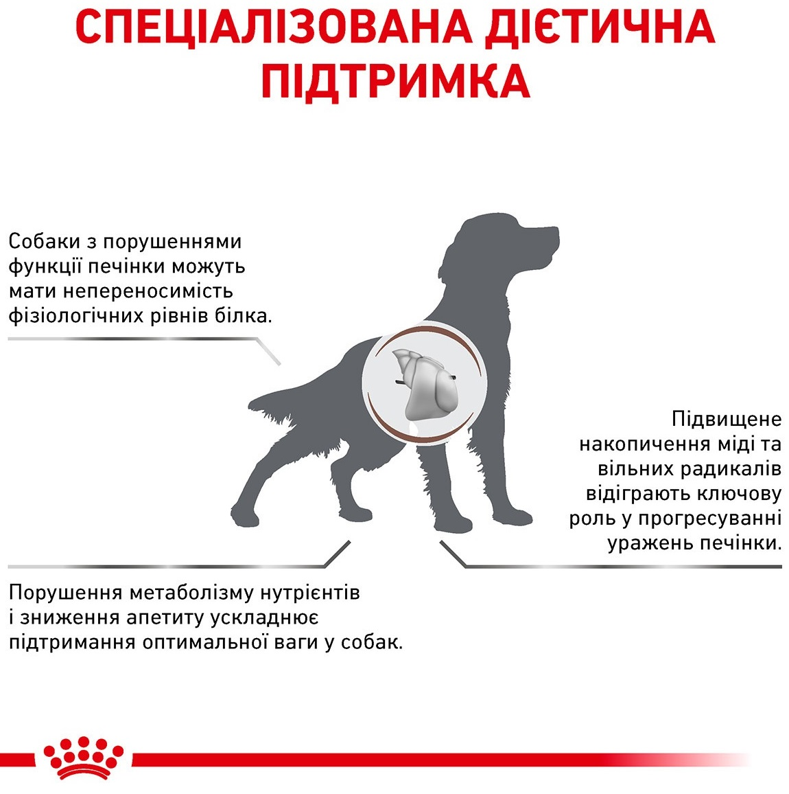 Сухой корм для собак Royal Canin Hepatic при заболеваниях печени 1.5кг фото 2