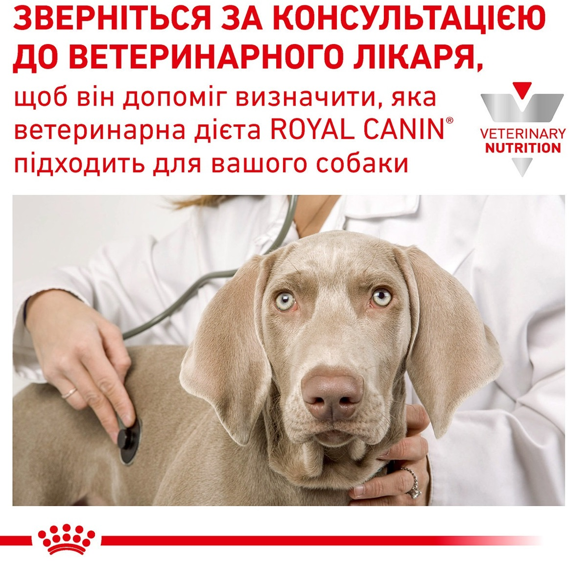 Сухой корм для собак Royal Canin Hepatic при заболеваниях печени 1.5кг фото 7