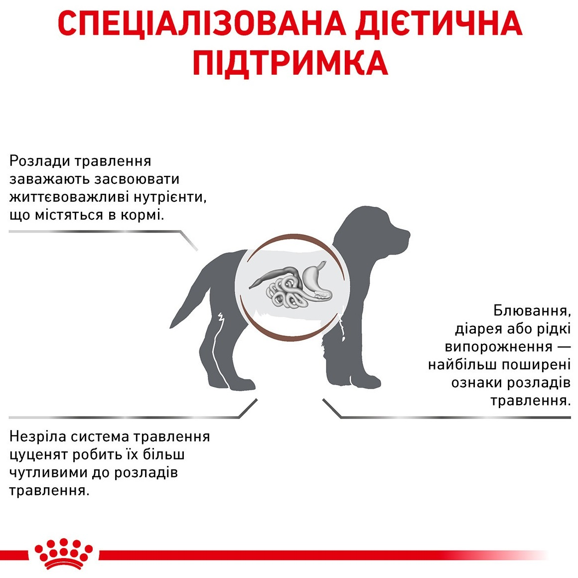 Сухой корм для щенков Royal Canin Gastrointestinal Puppy при расстройствах пищеварения 1кг фото 2