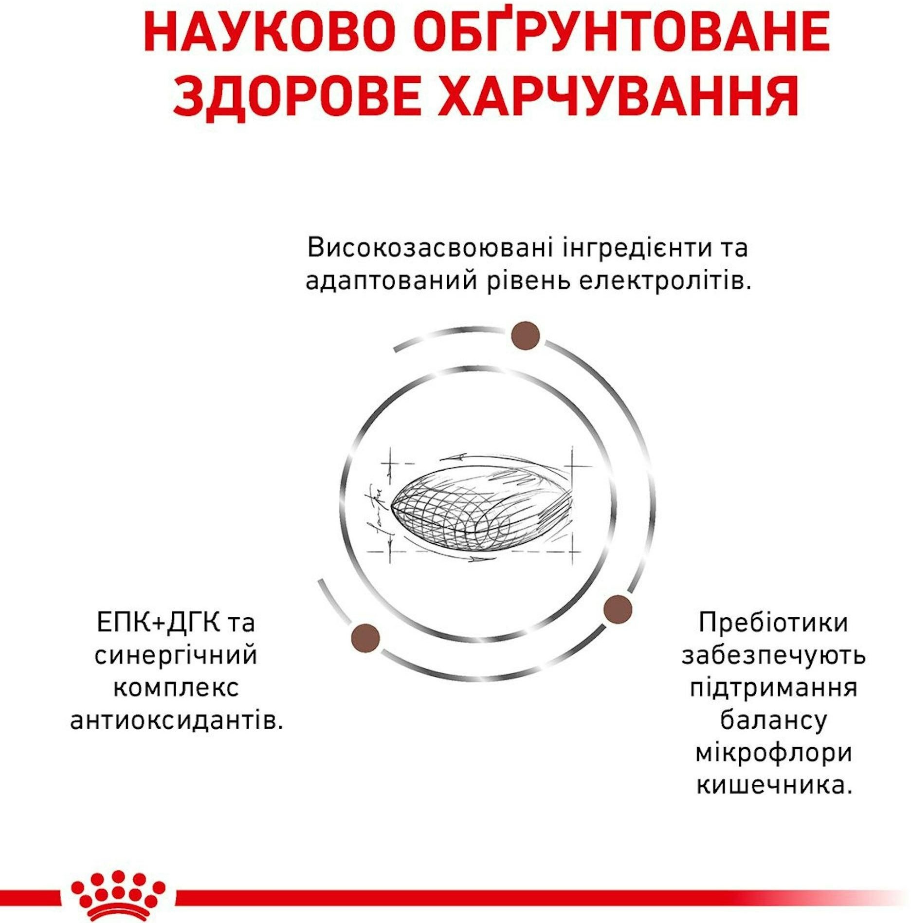 Сухой корм для собак Royal Canin Gastrointestinal Low Fat с ограниченным содержанием жиров 1.5кг фото 4