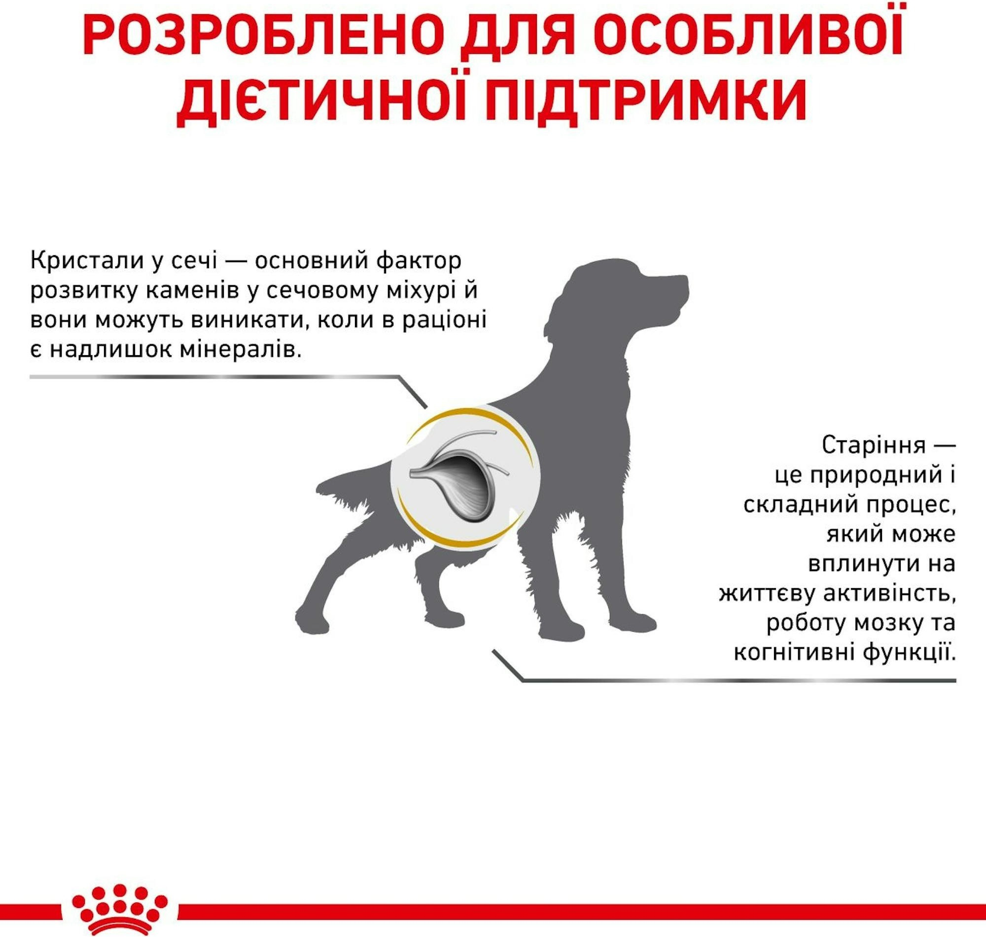 Вологий корм для собак Royal Canin Urinary S/O при захворюваннях нижніх сечовивідних шляхів 410гфото5