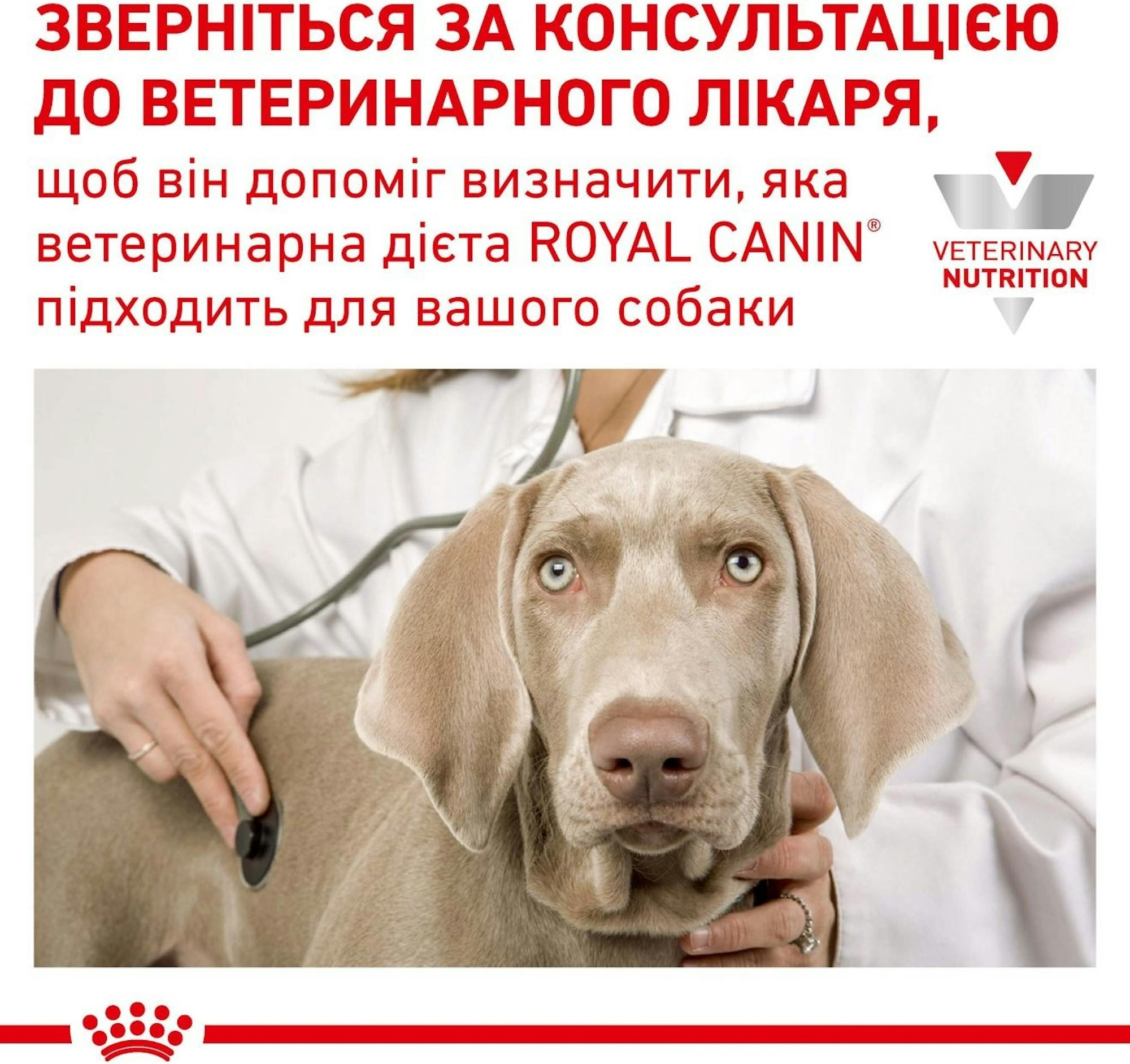 Вологий корм для собак Royal Canin Urinary S/O при захворюваннях нижніх сечовивідних шляхів 410гфото7