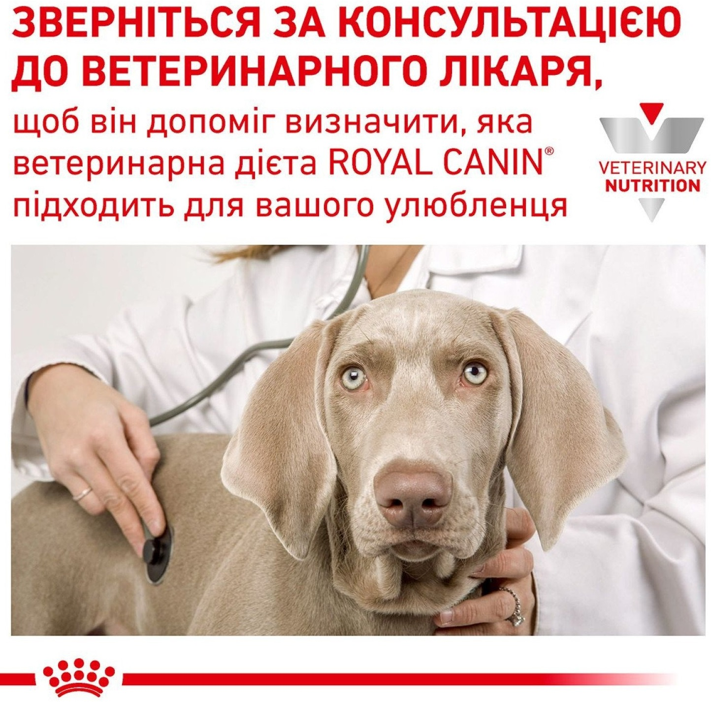 Вологий корм для собак Royal Canin Recovery 195гфото3