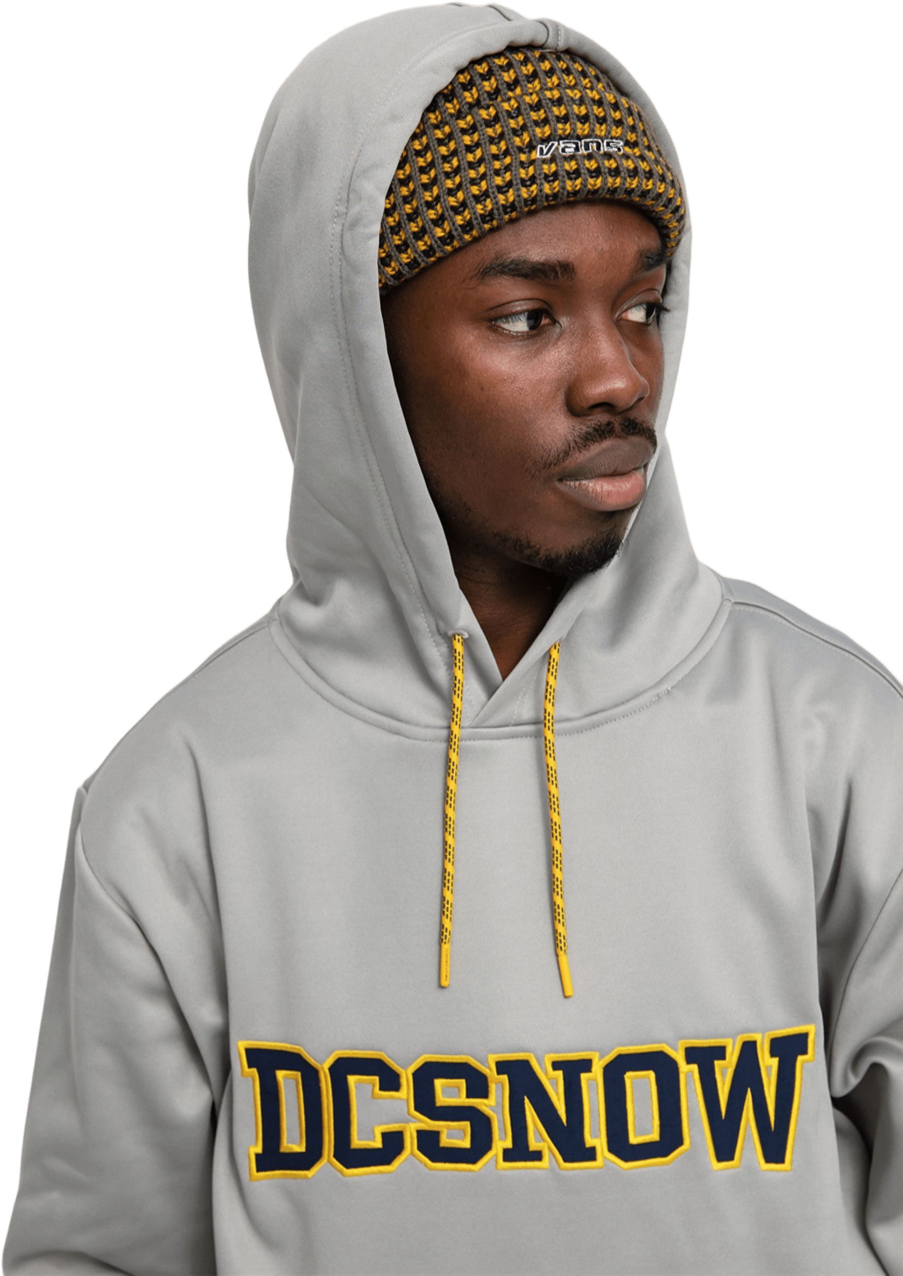 Худі DC ( ADYFT03343 ) SNOWSTAR M OTLR 2023 SLA0 Wild Dove - Solid L сірийфото