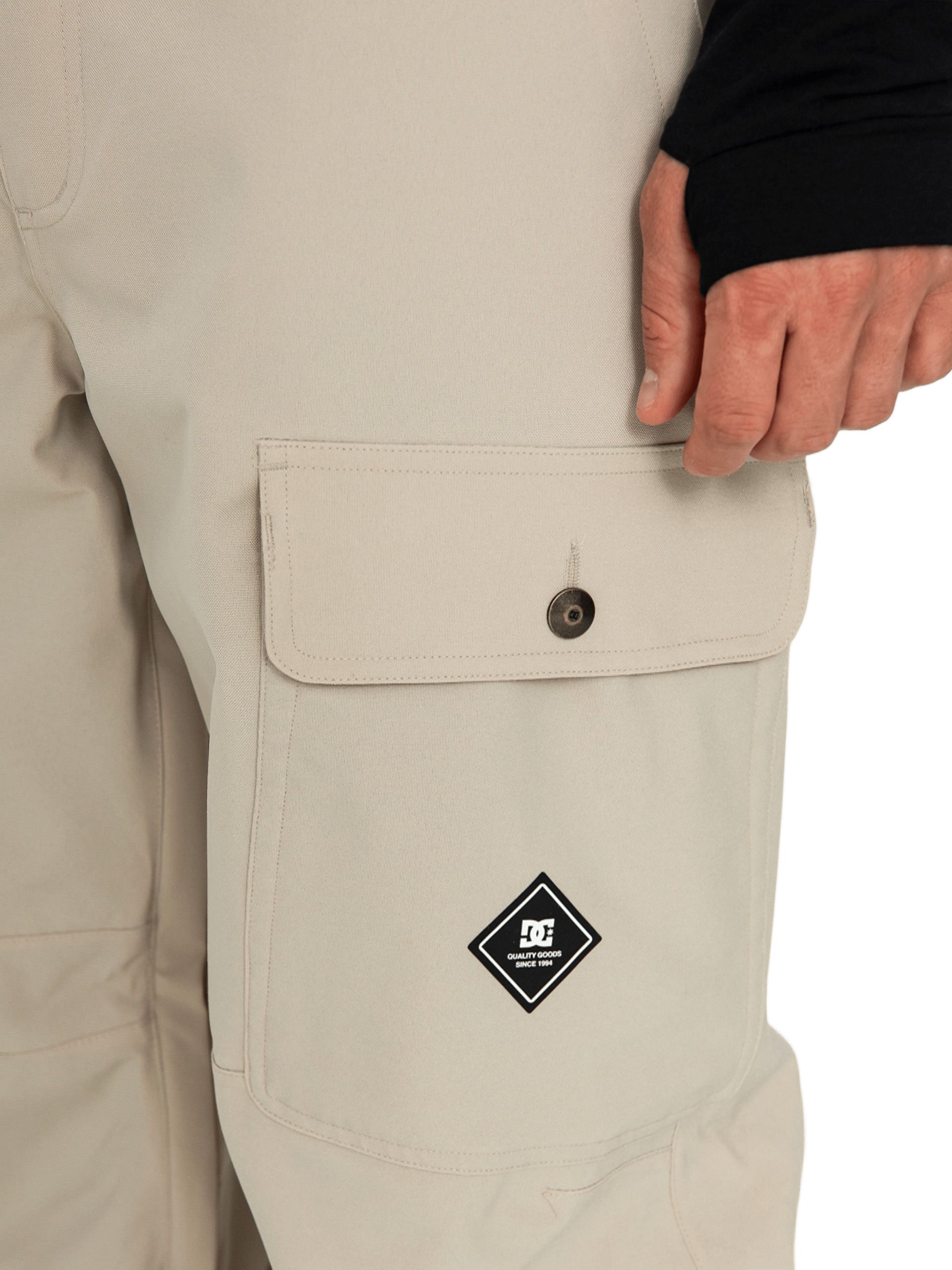 Горнолыжные штаны DC ( ADYTP03039 ) CODE 2024 Plaza Taupe L бежевый фото 12