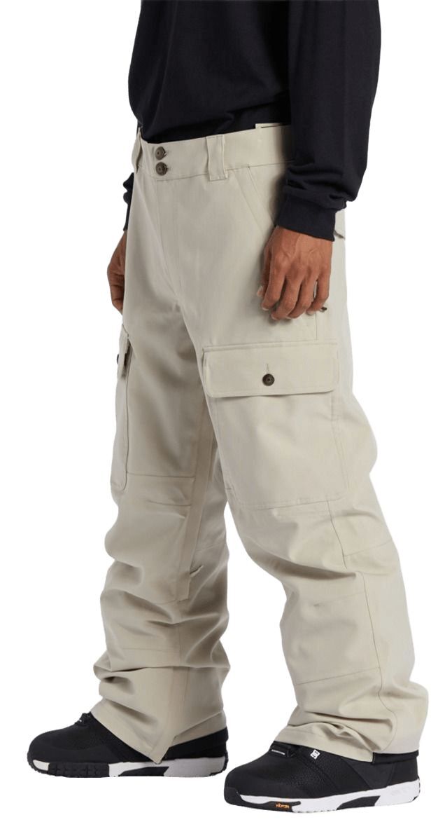 Горнолыжные штаны DC ( ADYTP03039 ) CODE 2024 Plaza Taupe L бежевый фото 5