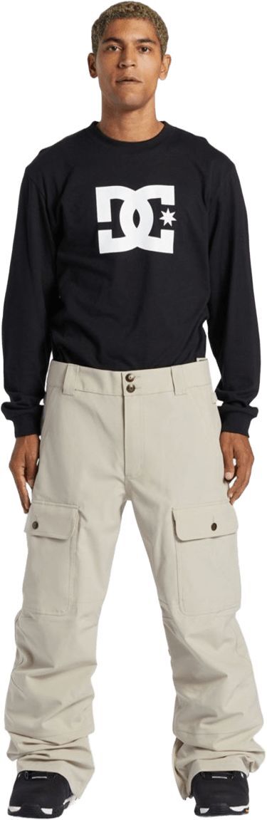 Горнолыжные штаны DC ( ADYTP03039 ) CODE 2024 Plaza Taupe L бежевый фото 18