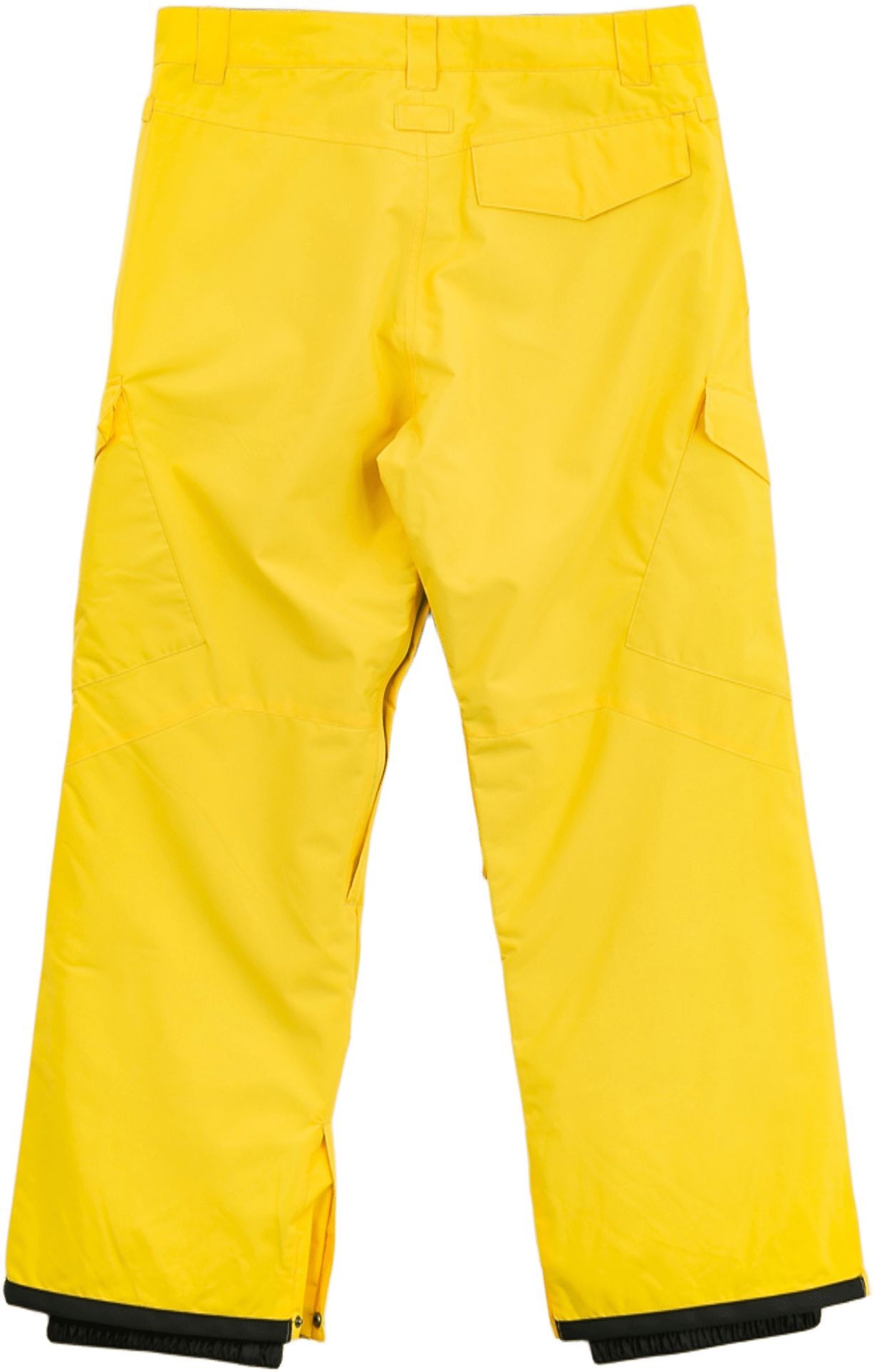 Горнолыжные штаны DC ( ADYTP03042 ) BANSHEE 2024 Dandelion XXL желтый фото 2