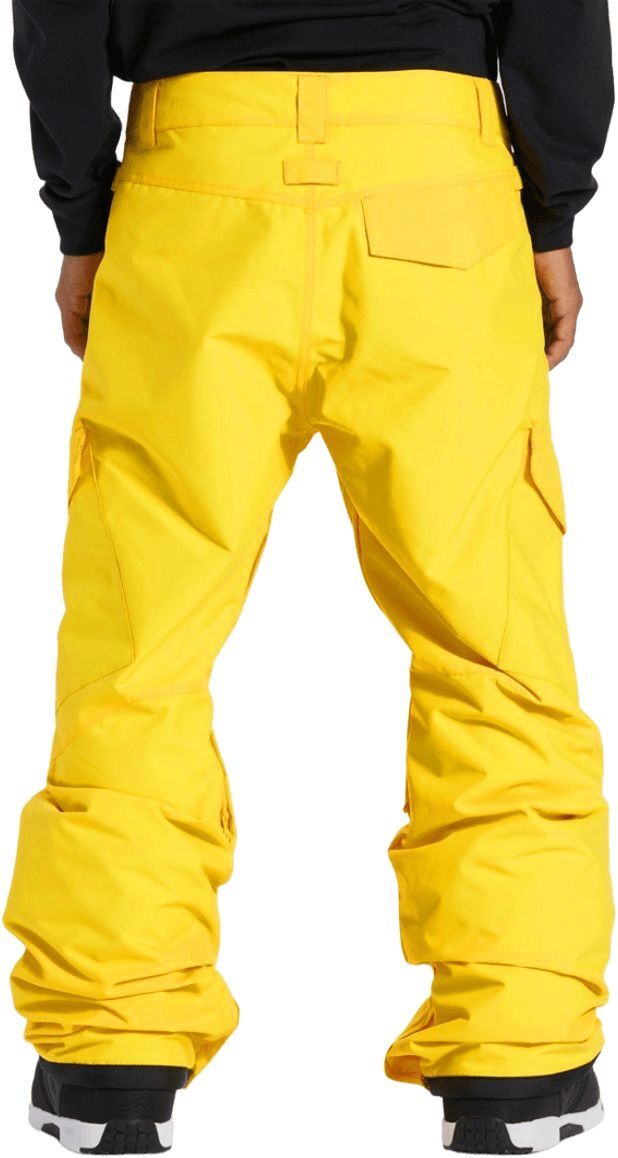 Горнолыжные штаны DC ( ADYTP03042 ) BANSHEE 2024 Dandelion XXL желтый фото 4