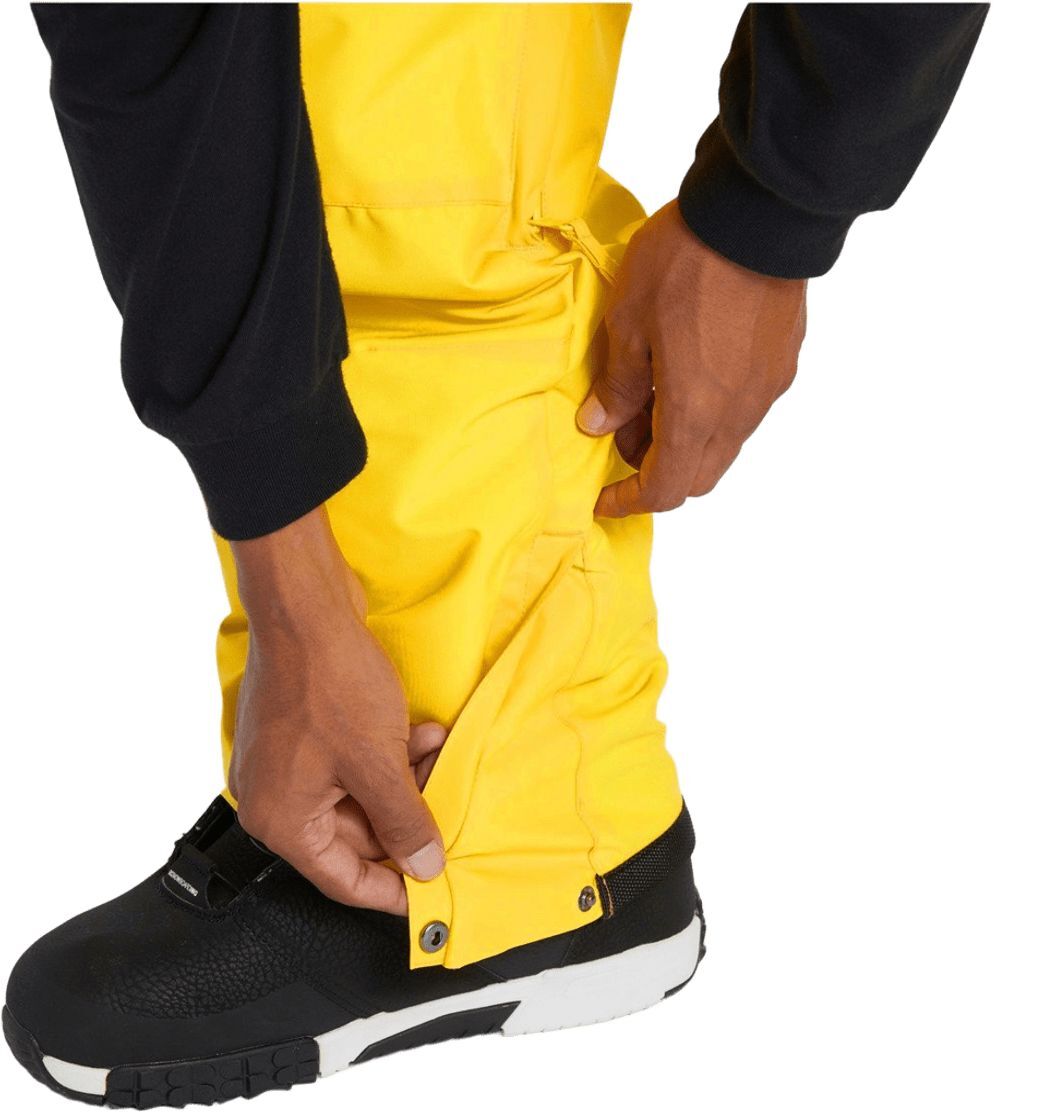 Горнолыжные штаны DC ( ADYTP03042 ) BANSHEE 2024 Dandelion XXL желтый фото 16