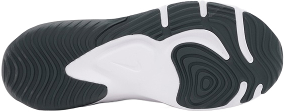 Кросівки чоловічі Nike M Legend Essential 3 NN DM1120-002 41 (8 US) сіріфото6