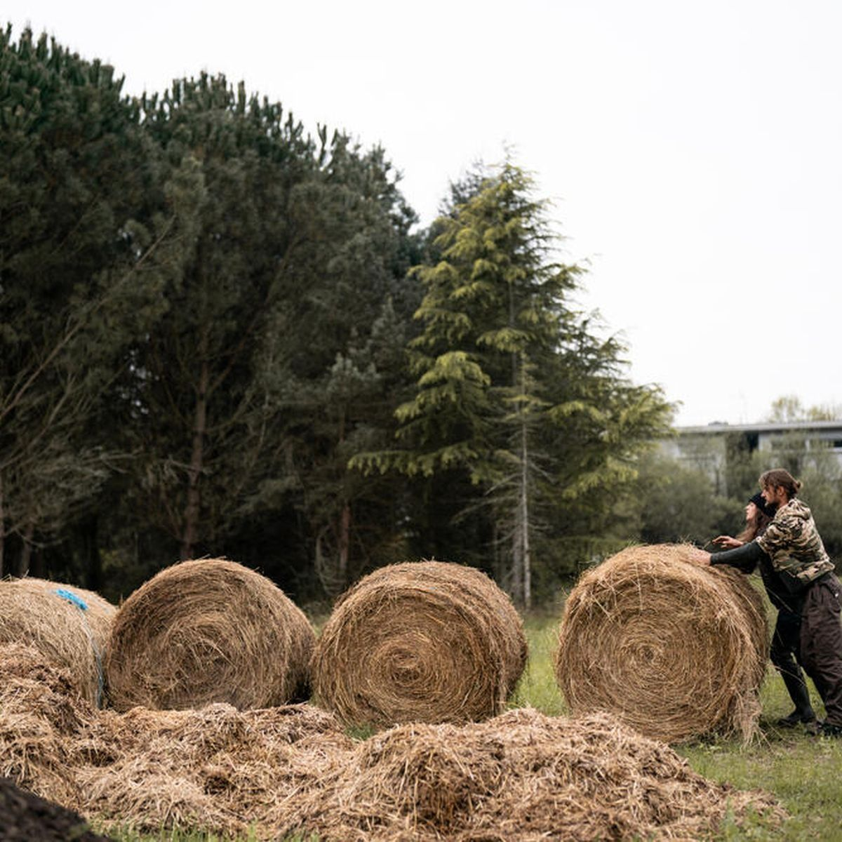 Сапоги мужские для охоты Solognac Glenarm 300 8339486 44 зеленые фото 