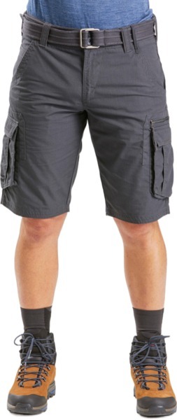 Штани чоловічі для туризму Forclaz Travel 100 8572550 42 сіріфото2