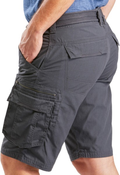 Штани чоловічі для туризму Forclaz Travel 100 8572550 42 сіріфото5