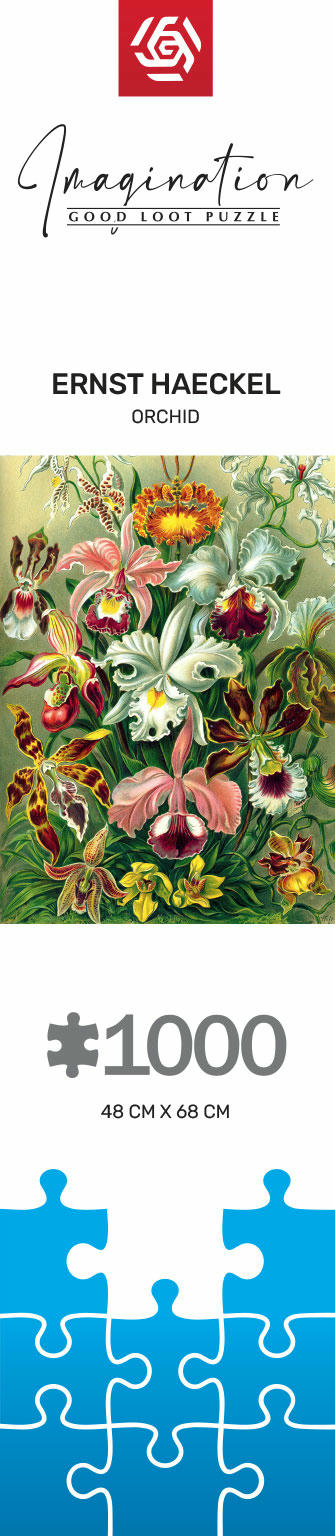 Пазл Ernst Haeckel Orchid 1000 эл. (5908305247531) фото 6