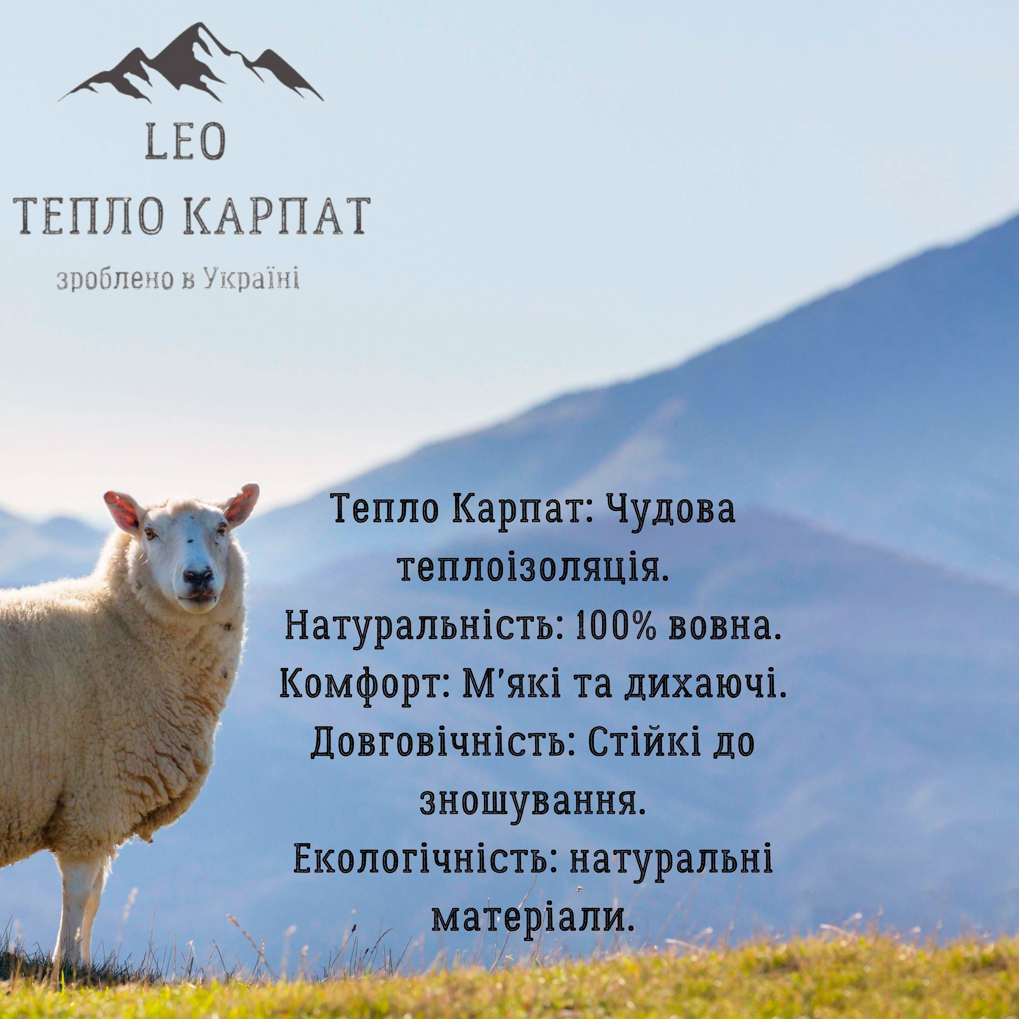 Набір шкарпеток чоловічих Лео Тепло Карпат Вовна 40-46 5 пар різнокольоровіфото5