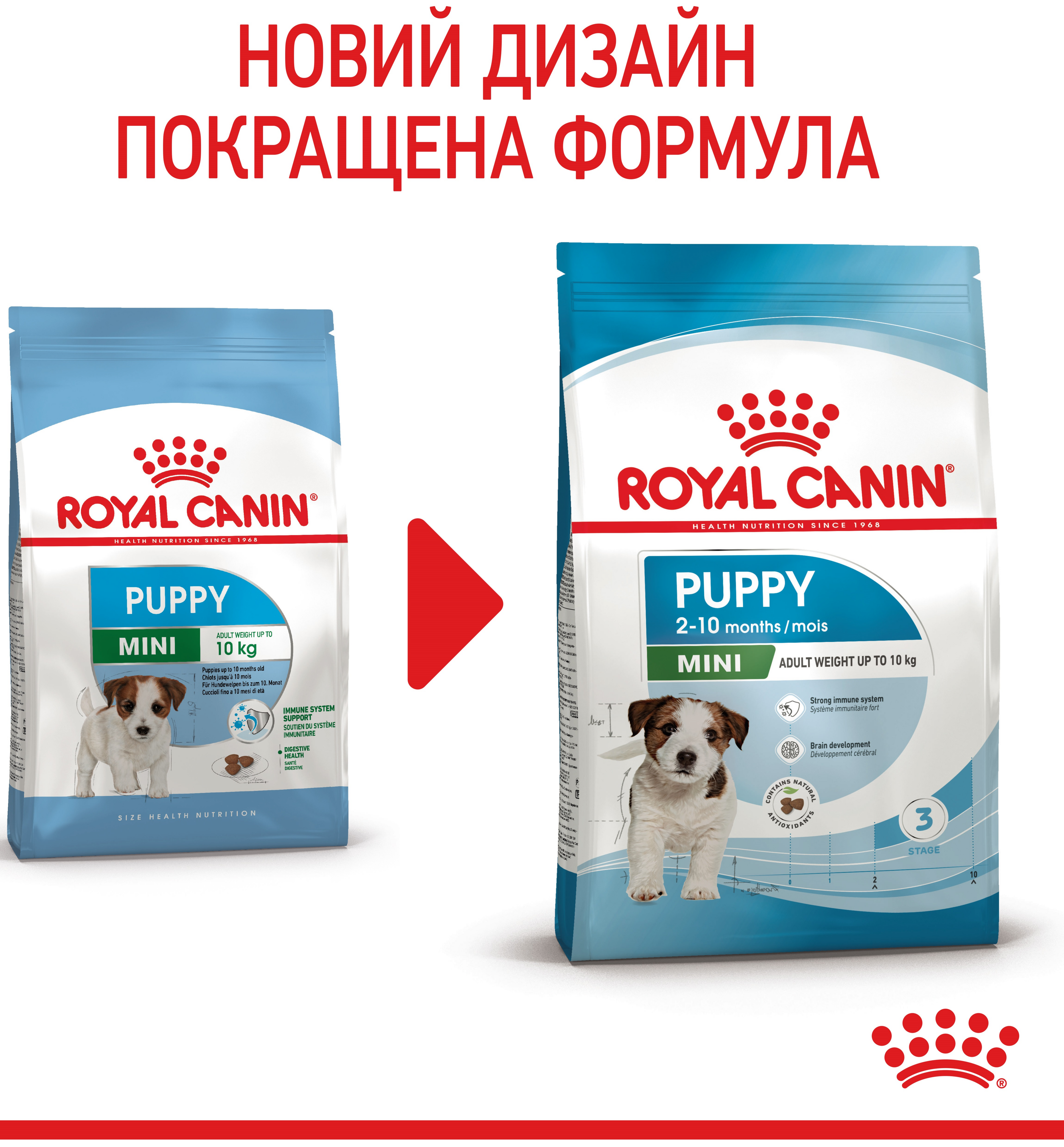 Набор для щенков мелких пород собак Сухой корм Royal Canin Puppy Mini 800г + Влажный корм Royal Canin Mini Puppy 85г фото 10