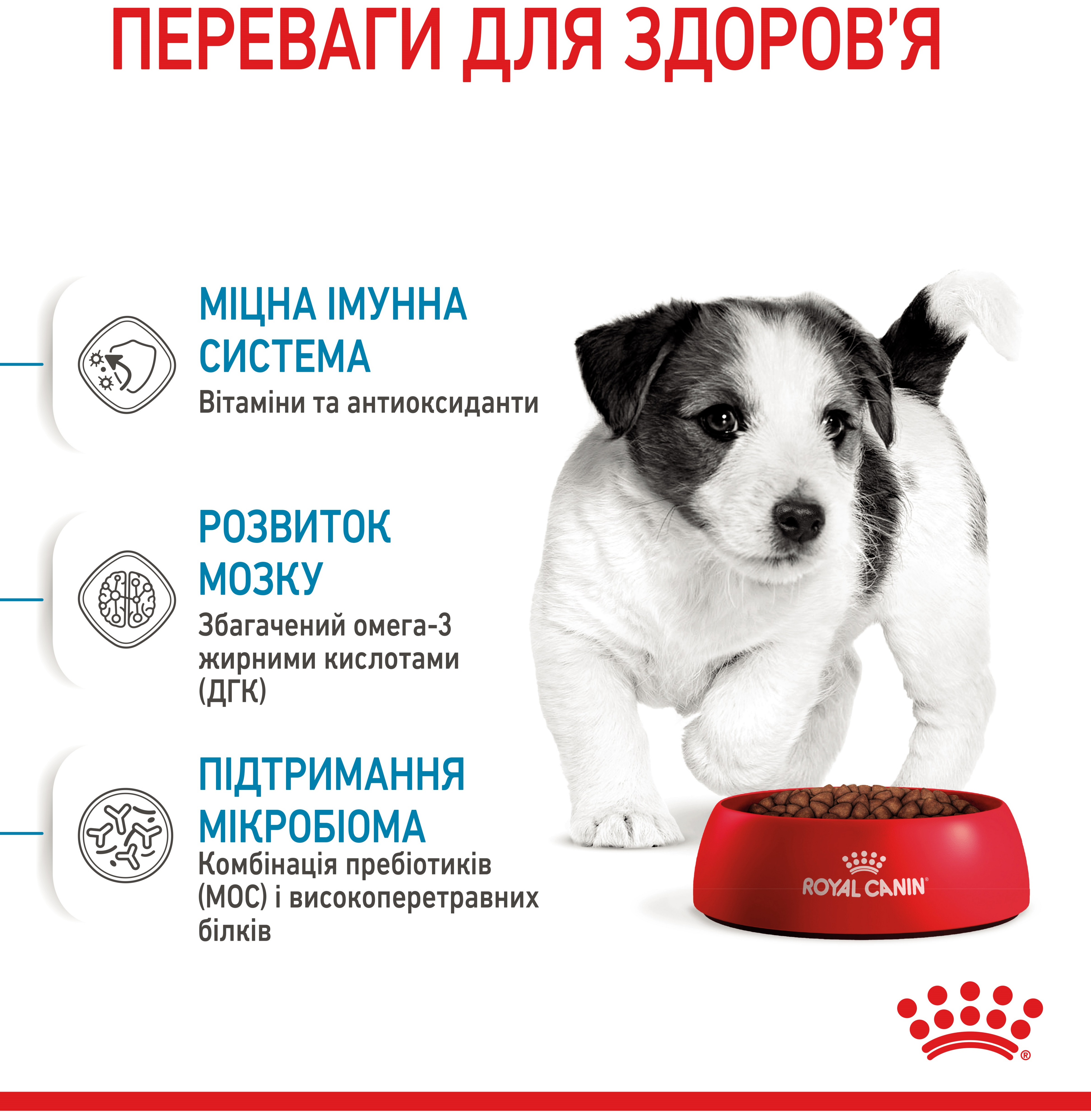 Набор для щенков мелких пород собак Сухой корм Royal Canin Puppy Mini 800г + Влажный корм Royal Canin Mini Puppy 85г фото 7