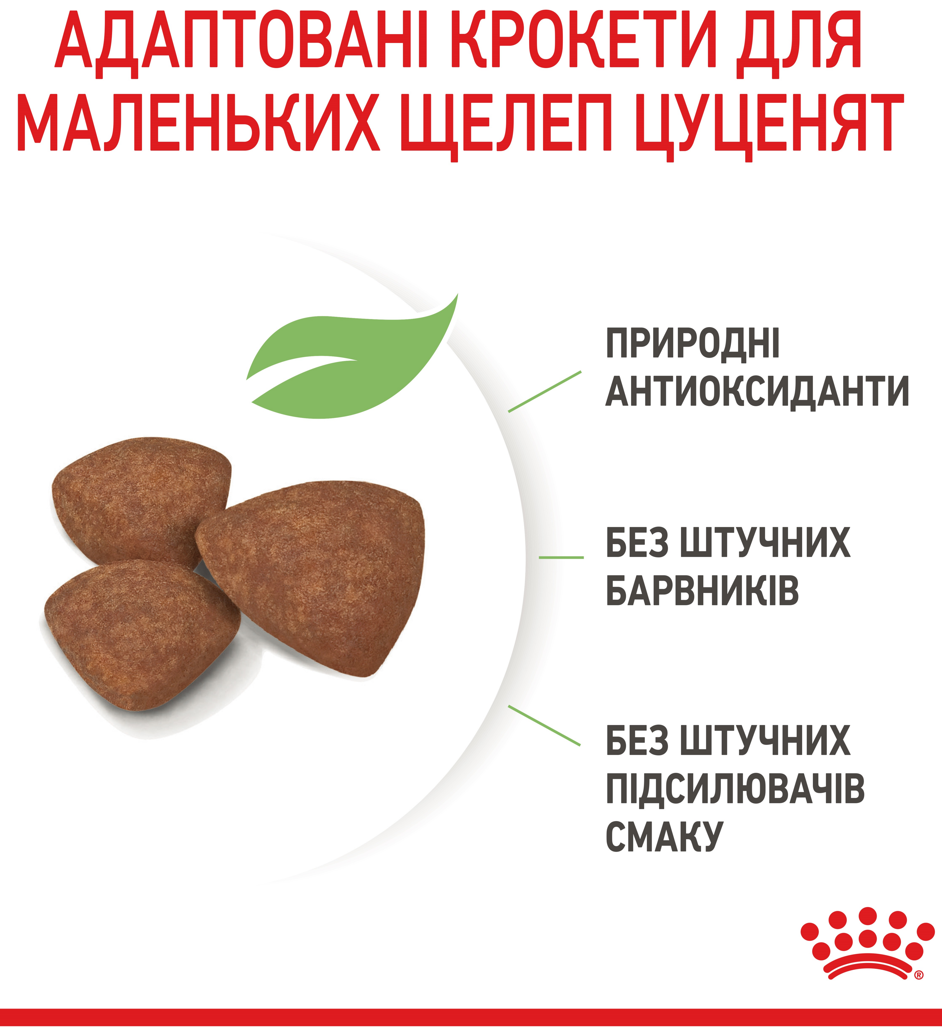 Набор для щенков мелких пород собак Сухой корм Royal Canin Puppy Mini 800г + Влажный корм Royal Canin Mini Puppy 85г фото 3