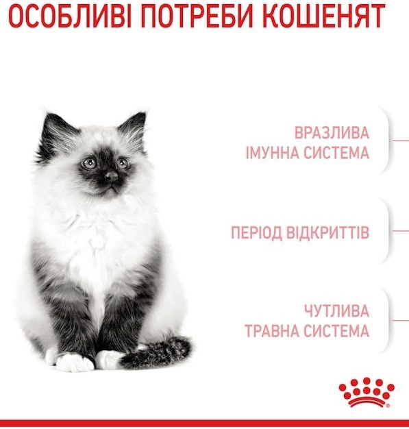 Набор для котят Сухой корм Royal Canin Kitten 400г + Влажный корм Royal Canin Kitten Loaf паштет 85г фото 2