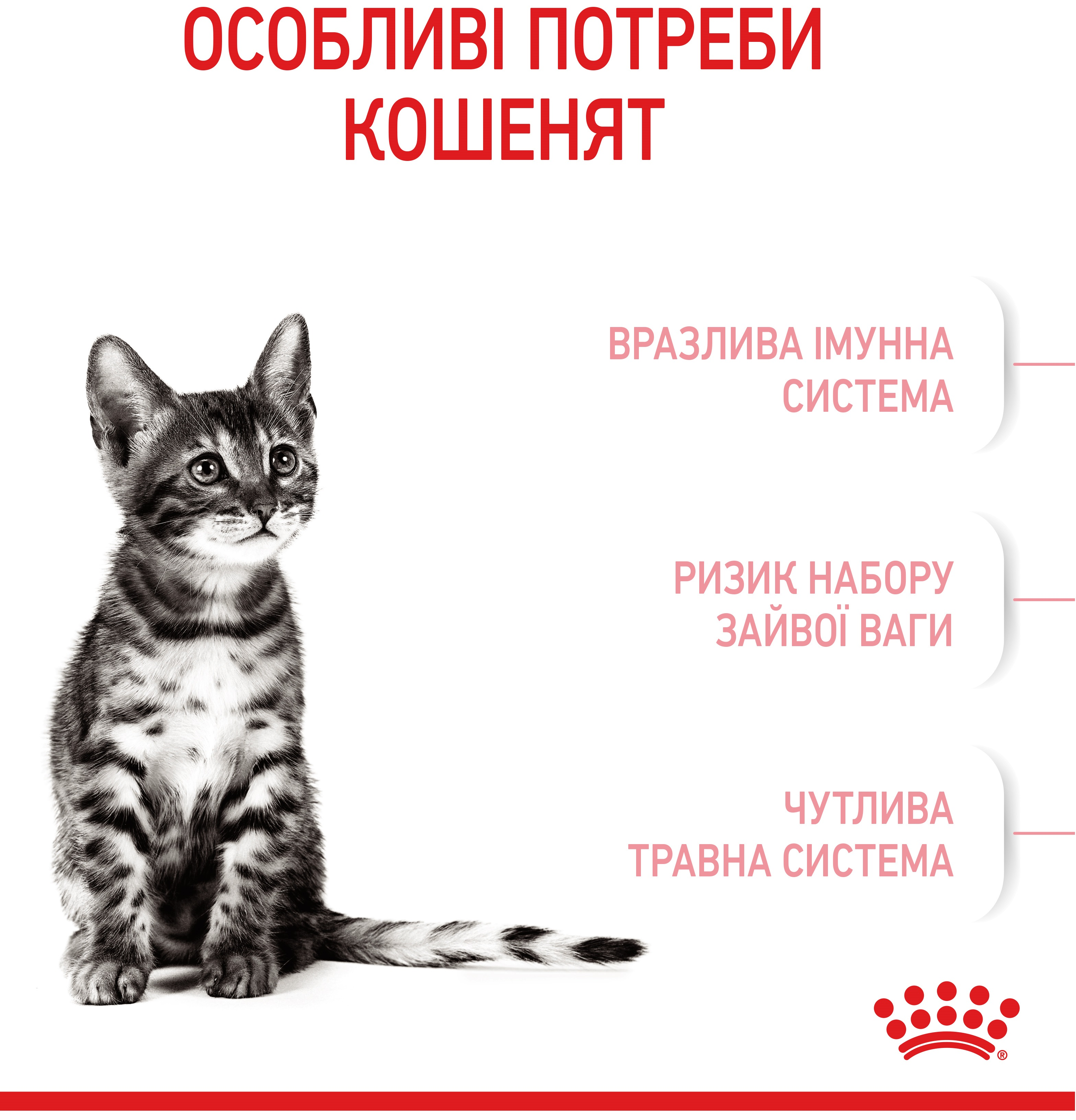 Набір для кошенят Сухий корм Royal Canin Kitten Sterilised 400г + Вологий корм Royal Canin Kitten Sterilised 85гфото3