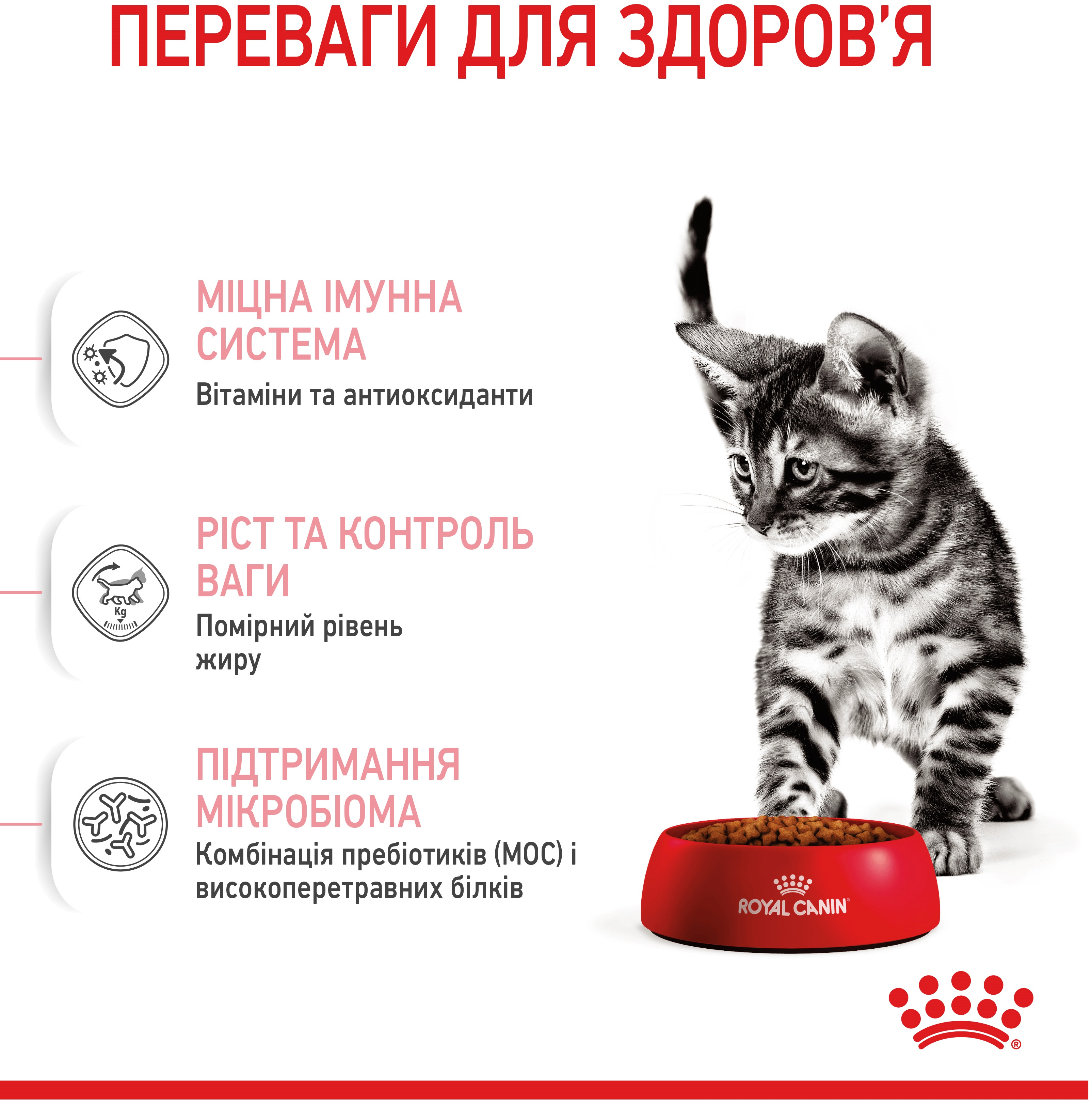 Набір для кошенят Сухий корм Royal Canin Kitten Sterilised 400г + Вологий корм Royal Canin Kitten Sterilised 85гфото2