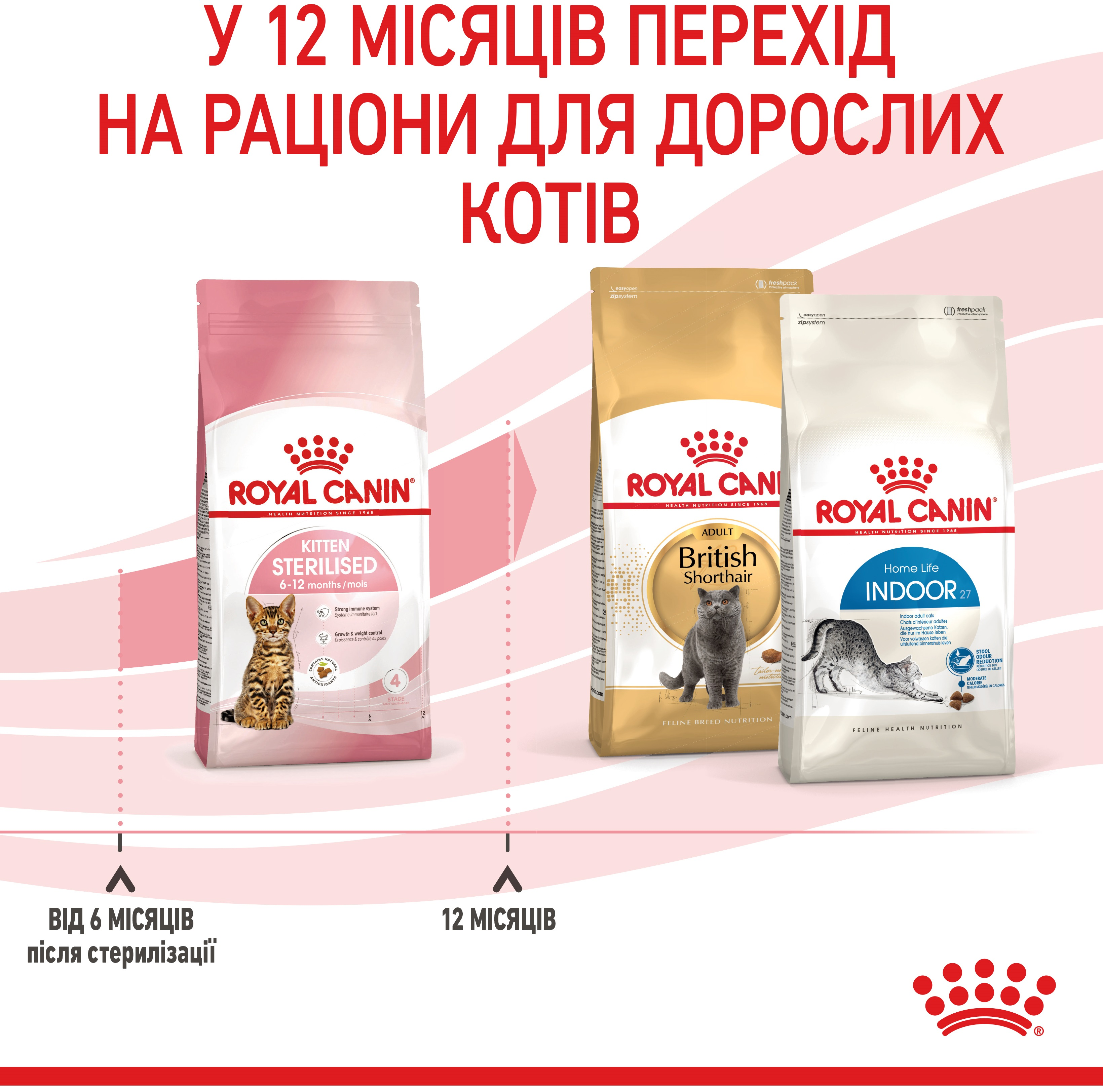 Набір для кошенят Сухий корм Royal Canin Kitten Sterilised 400г + Вологий корм Royal Canin Kitten Sterilised 85гфото7