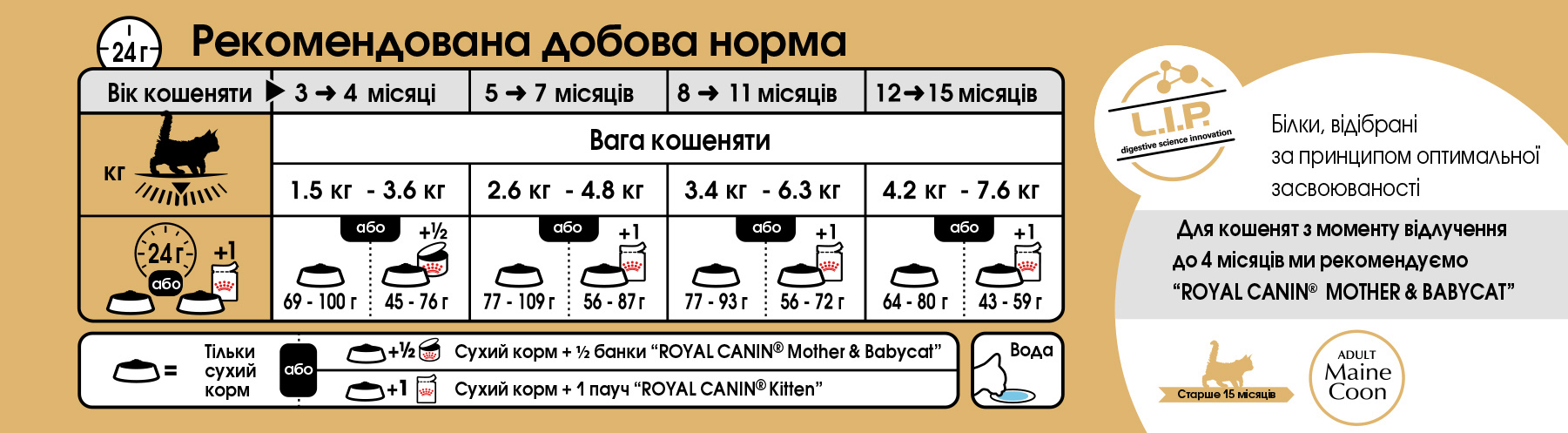 Набір для кошенят Сухий корм Royal Canin Mainecoon Kitten 400г + Вологий корм Royal Canin Kitten Sterilised 85гфото7