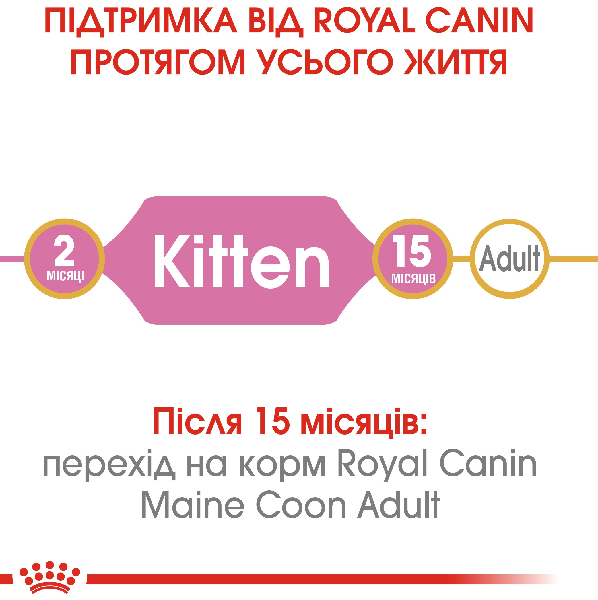 Набір для кошенят Сухий корм Royal Canin Mainecoon Kitten 400г + Вологий корм Royal Canin Kitten Sterilised 85гфото6