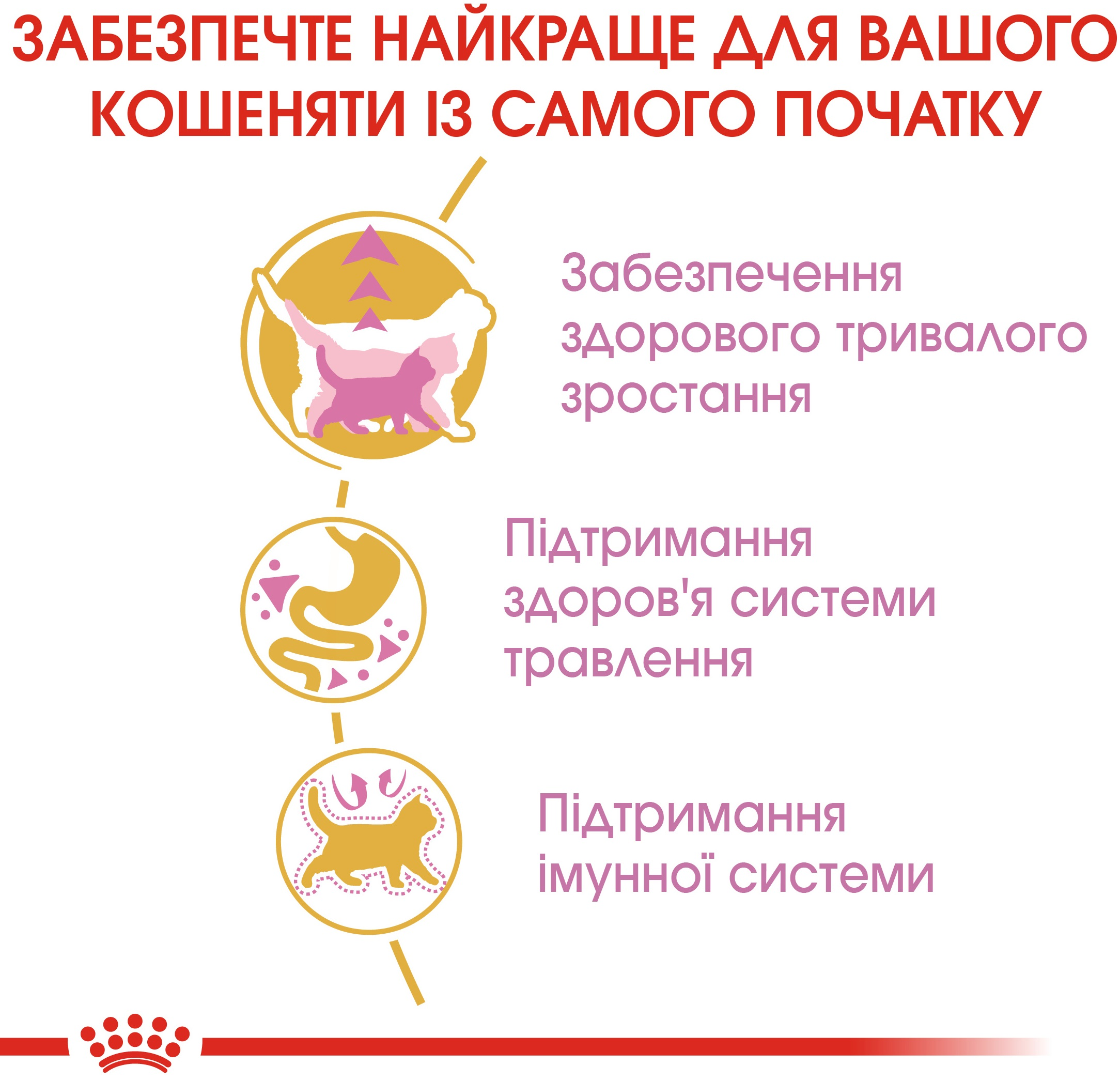 Набір для кошенят Сухий корм Royal Canin Mainecoon Kitten 400г + Вологий корм Royal Canin Kitten Sterilised 85гфото5