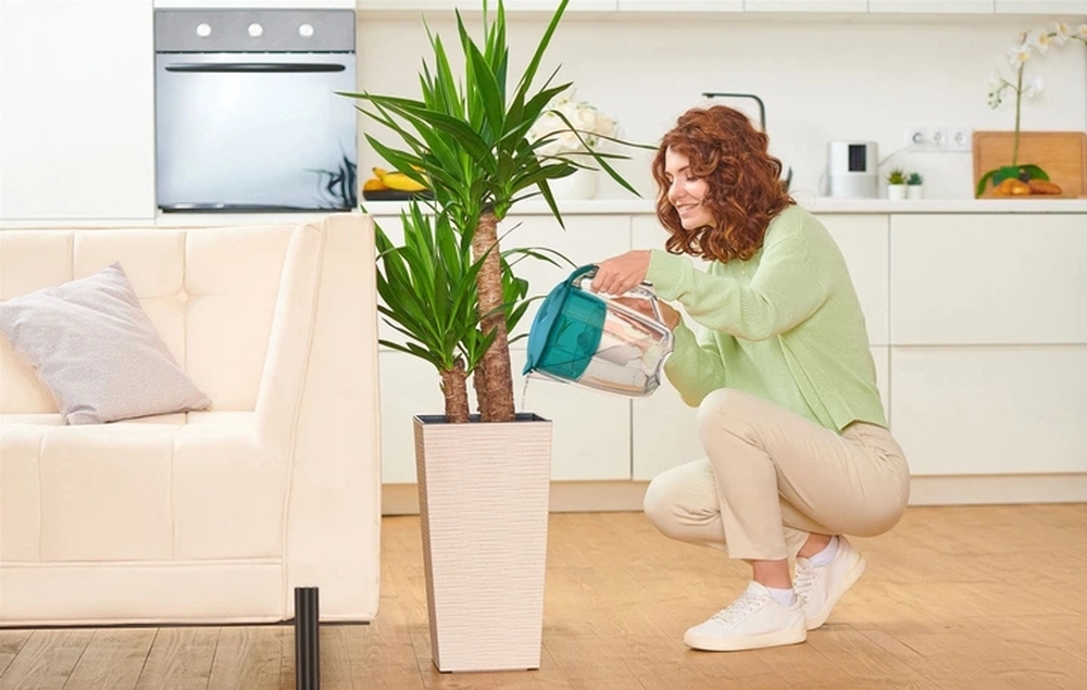 Фільтр-глечик Ecosoft Maxima 5л (3.5л очищеної води) з фільтр-картриджем (FMVMAXIMADGECO) фото11