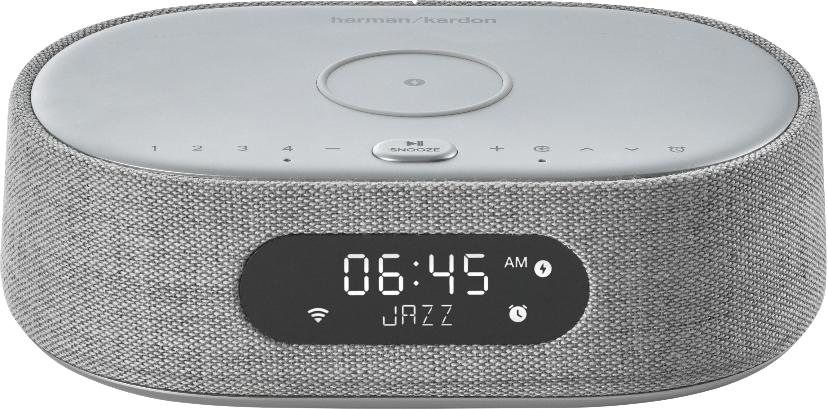 Акустическая система Harman Kardon Citation Oasis FM Grey (HKCITAOASISFMGRYEP) фото 3