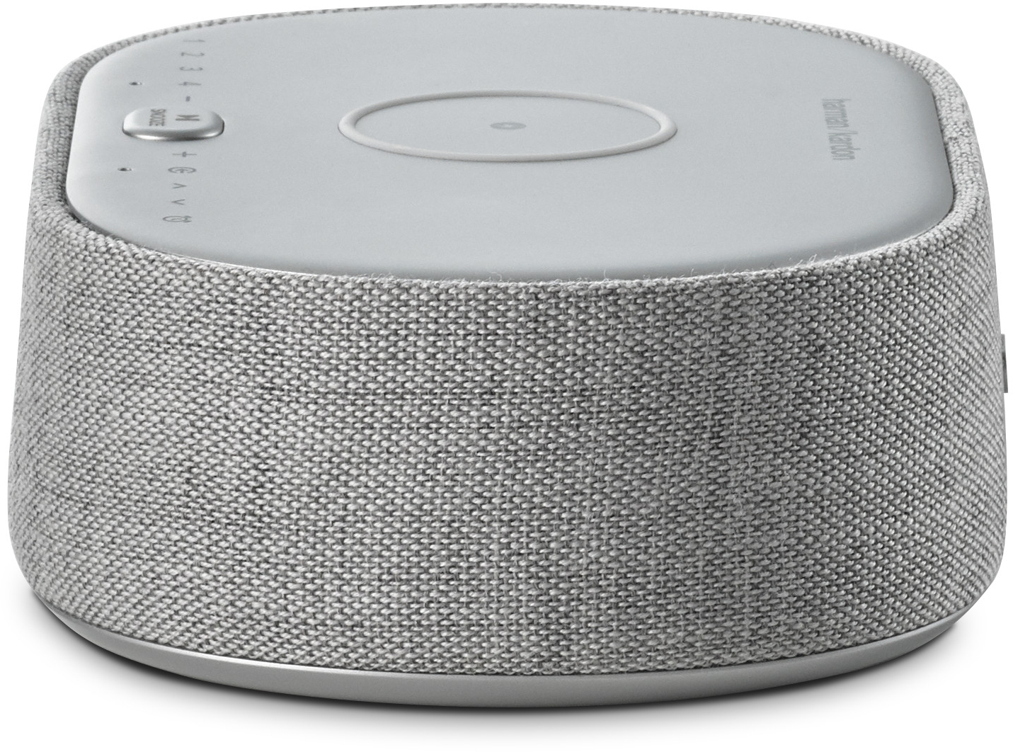 Акустическая система Harman Kardon Citation Oasis FM Grey (HKCITAOASISFMGRYEP) фото 5