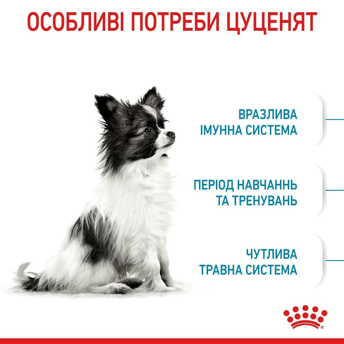 Сухой корм для щенков Royal Canin X-Small Puppy миниатюрных пород собак 3кг + кормушка в подарок фото 6