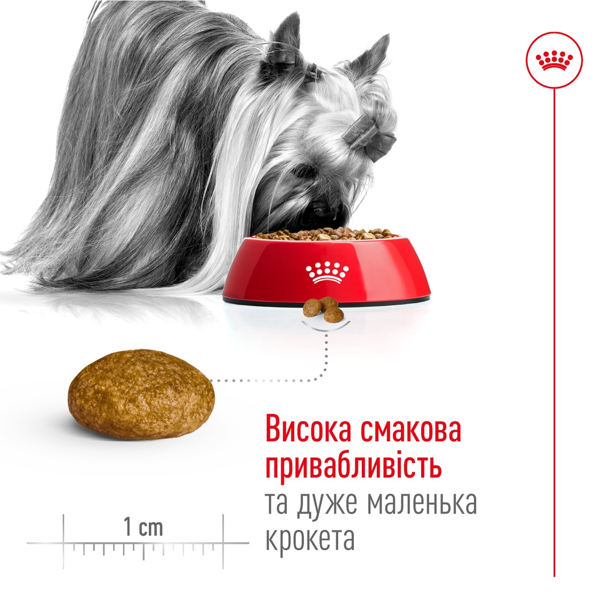 Сухий корм для собак Royal Canin X-Small Adult мініатюрних порід 3кг + годівниця у подарунокфото5