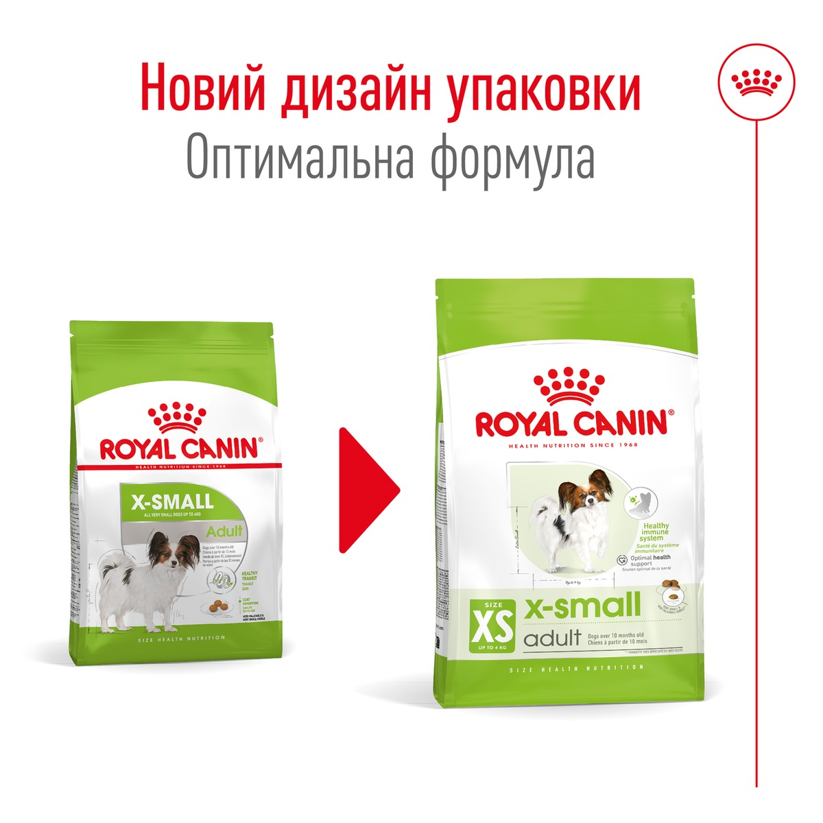 Сухий корм для собак Royal Canin X-Small Adult мініатюрних порід 3кг + годівниця у подарунокфото8