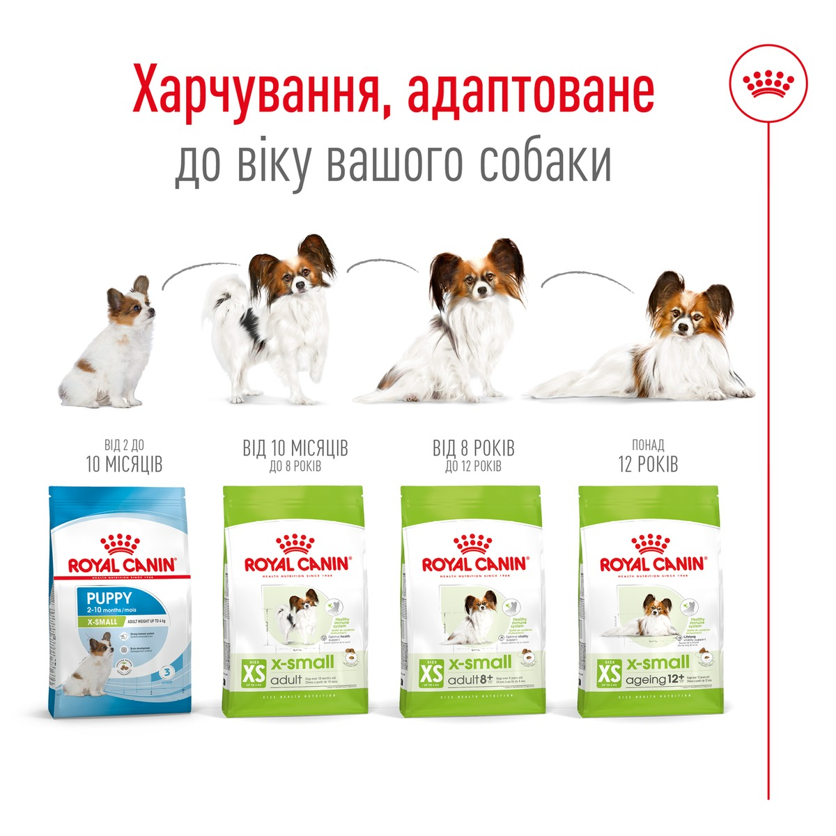 Сухой корм для собак Royal Canin X-Small Adult миниатюрных пород 3кг + кормушка в подарок фото 6