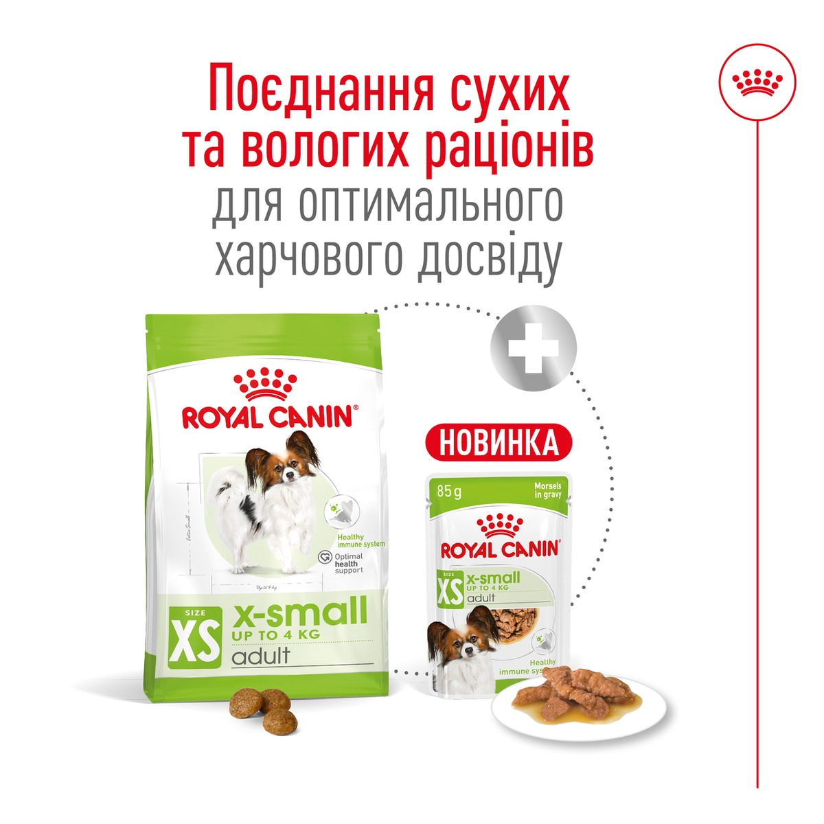 Сухий корм для собак Royal Canin X-Small Adult мініатюрних порід 3кг + годівниця у подарунокфото7